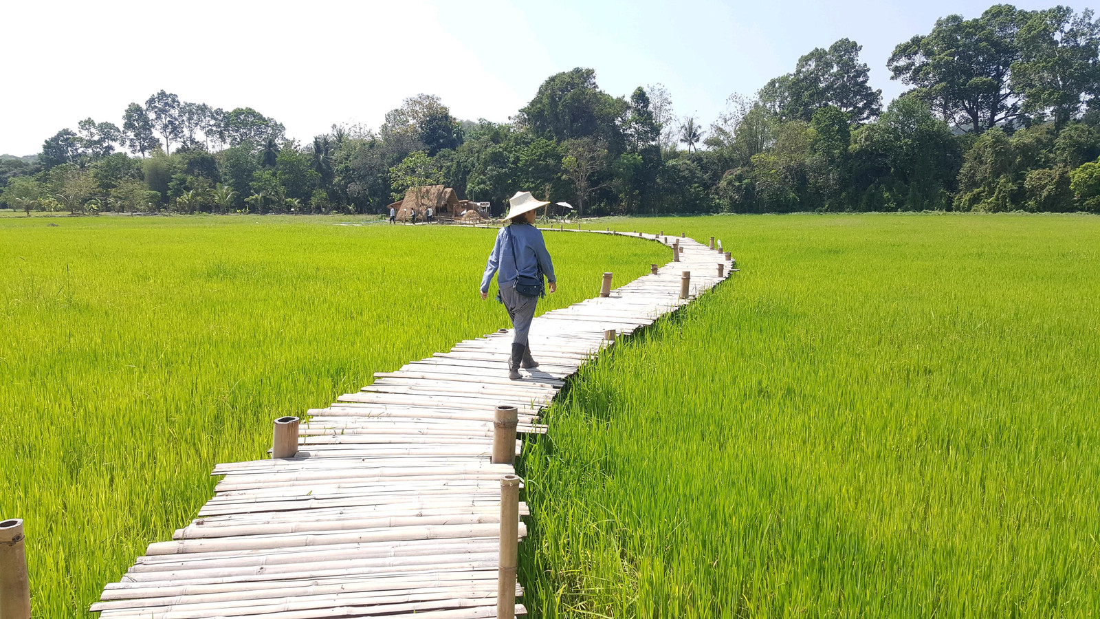 ขายที่ดินวิวสวยที่สุดนครนายก ขายยกแปลงแถมบ่อน้ำ4ไร่ 