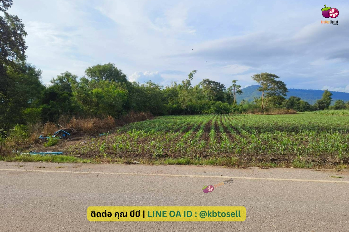 ขายที่ดิน วังไทร ปากช่อง ใกล้ เขาใหญ่ วังน้ำเขียว วิวสวย 24 ไร่ เห็นภูเขาทั้งหน้าหลัง ติดถนน น้ำไม่ท่วม ตั้งแต่อยู่มาไม่เคยเห็นท่วม ขายที่ดิน วังไทร ปากช่อง ใกล้ เขาใหญ่ วังน้ำเขียว วิวสวย 24 ไร่ เห็นภูเขาทั้งหน้าหลัง ติดถนน น้ำไม่ท่วม ตั้งแต่อยู่มาไม่เคยเห็นท่วม