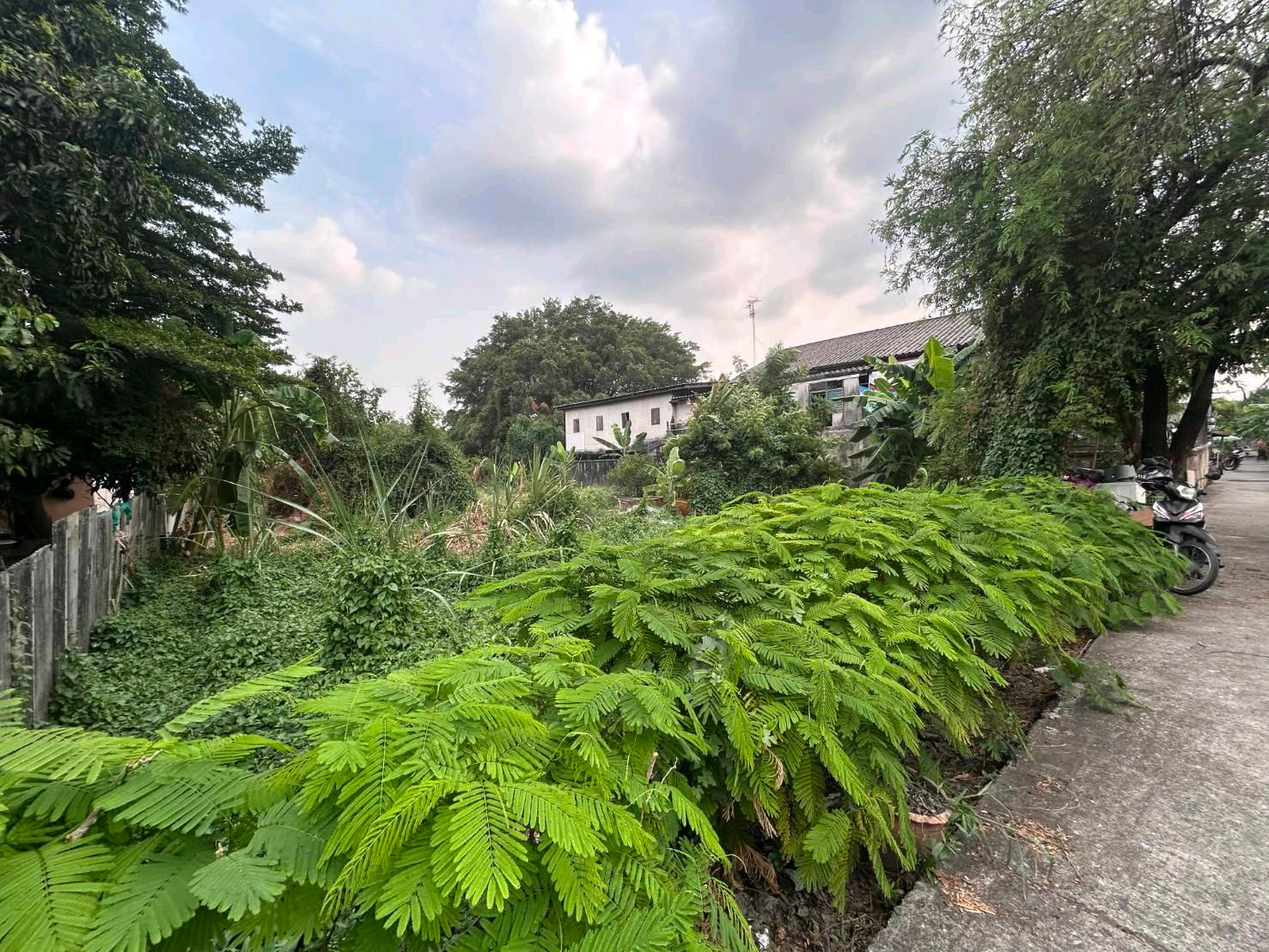 🔥 ! ที่ดิน 158 ตร.ว. ลำลูกกา ปทุมธานี ราคาเพียง 500,000 บาท อยู่ด้านหลัง รพ.แพทย์รังสิต – รูปที่ 3