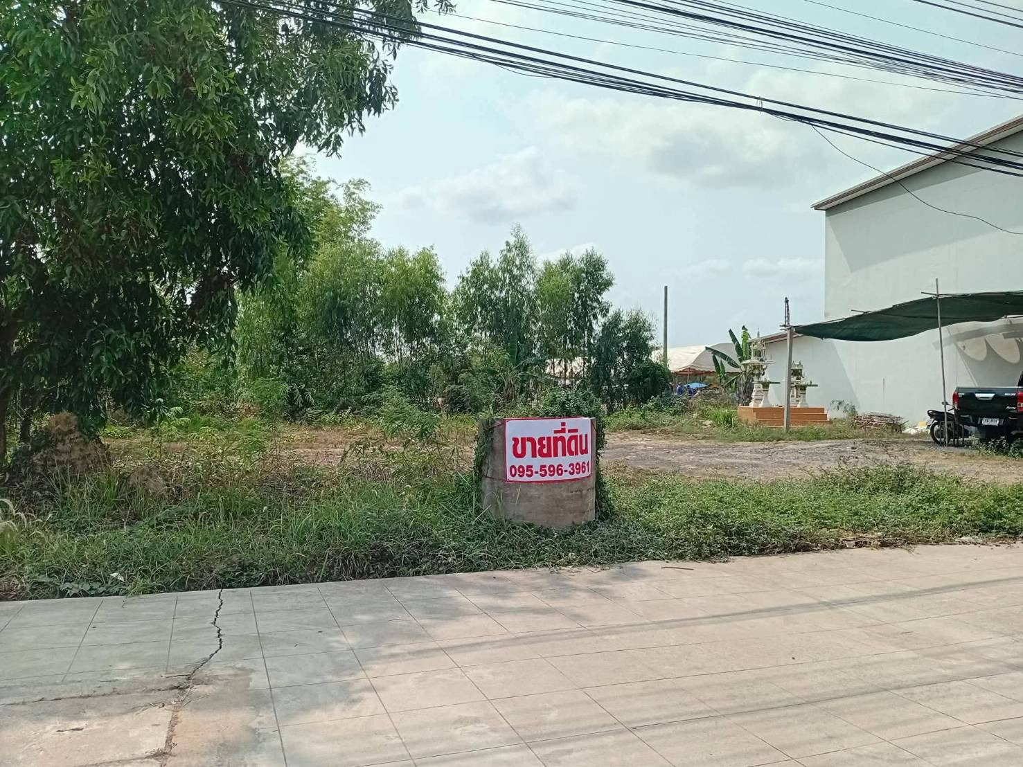 ขายถูกมาก!! ที่ดิน 3 แปลง 56 57 79 ตร.ว. ติดถนน 4 เลน ทำเลทอง อ.ไพรบึง จ.ศรีสะเกษ ใกล้ตลาด โรงพยาบาลฯ – รูปที่ 3