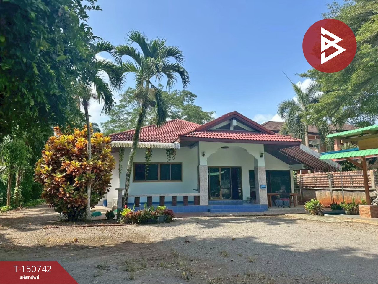 ขายบ้านเดี่ยวพร้อมที่ดิน เนื้อที่ 1 ไร่ ปะทิว ชุมพร – รูปที่ 2