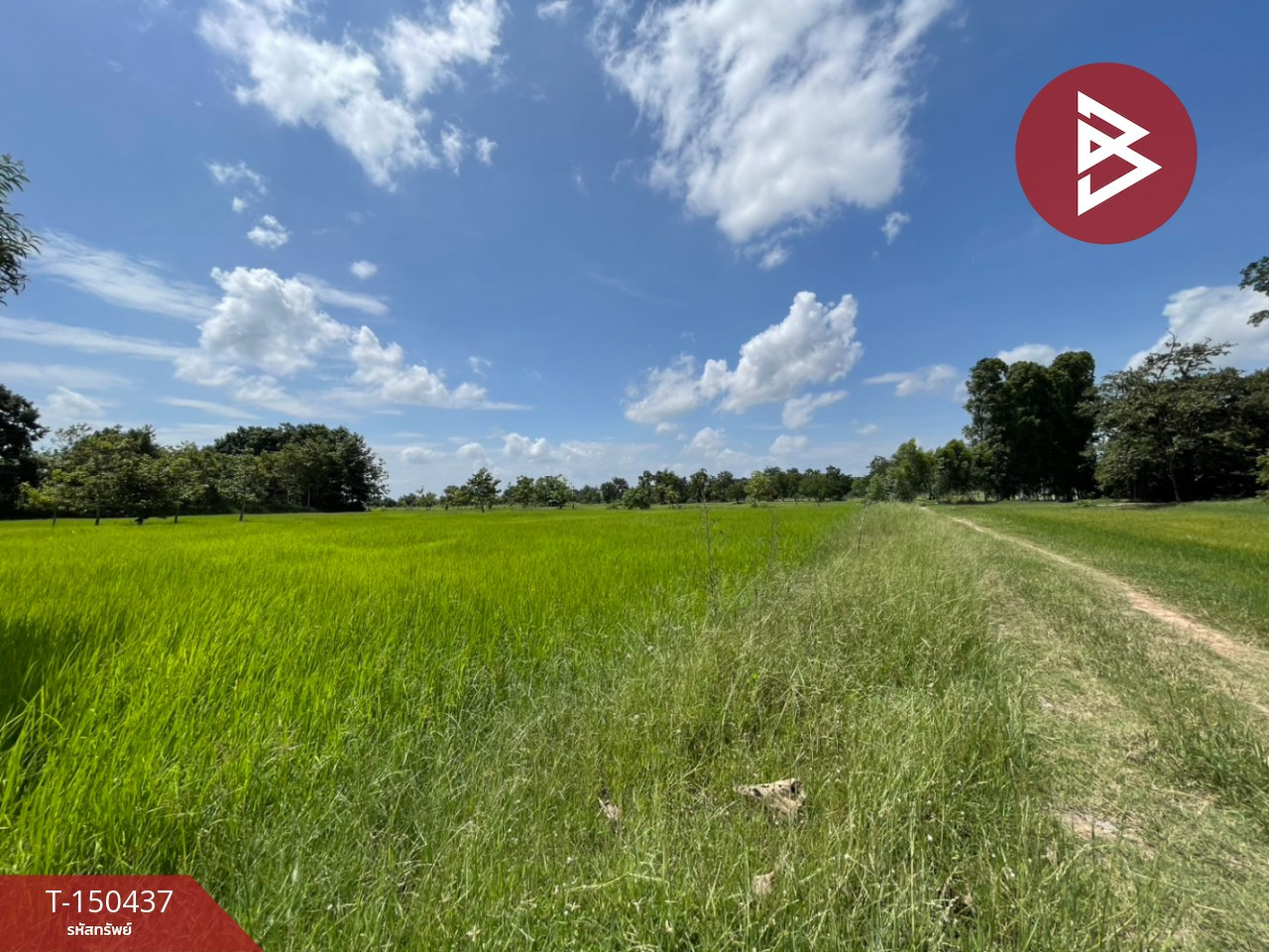 Land for sale, area 6 rai 3 ngan 18 square wah, near Ban Phai town, Khon Kaen province, good location, potential location. – รูปที่ 2