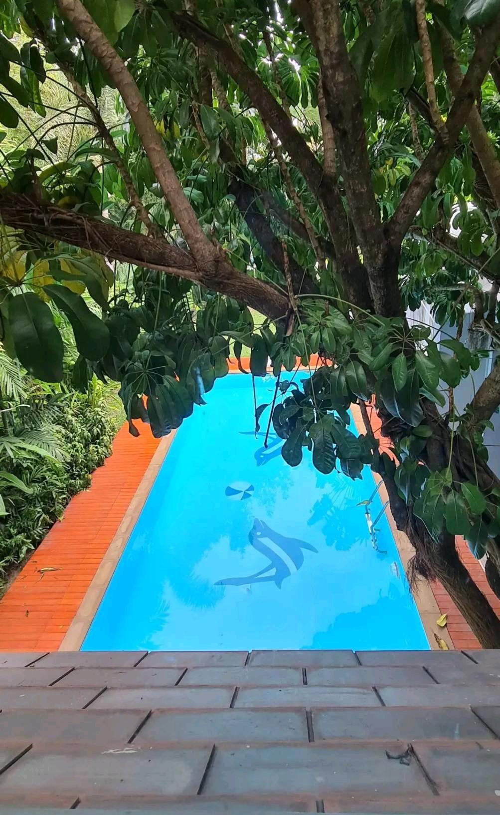 🔥🔥PRIVATE VILLA FOR RENT | Single house with private pool 📍 Soi Soonvijai – Rama 9 | near RCA, near Krungmap Hospital. 🔥🔥PRIVATE VILLA FOR RENT | Single house with private pool 📍 Soi Soonvijai – Rama 9 | near RCA, near Krungmap Hospital.