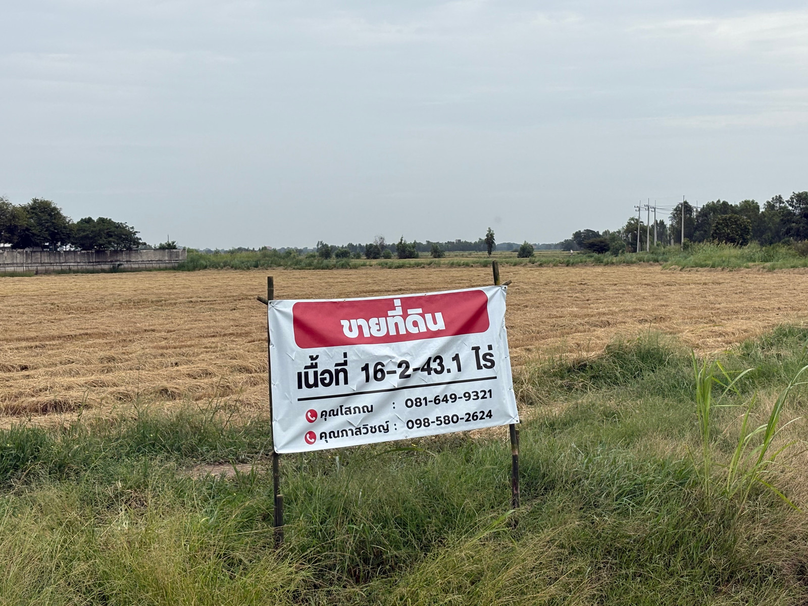 ขายที่ดิน 16-2-43.1 ไร่ บางไทร-อยุธยา ใกล้ถนน 3111 ทำเลรองรับ Warehouse/Logistics