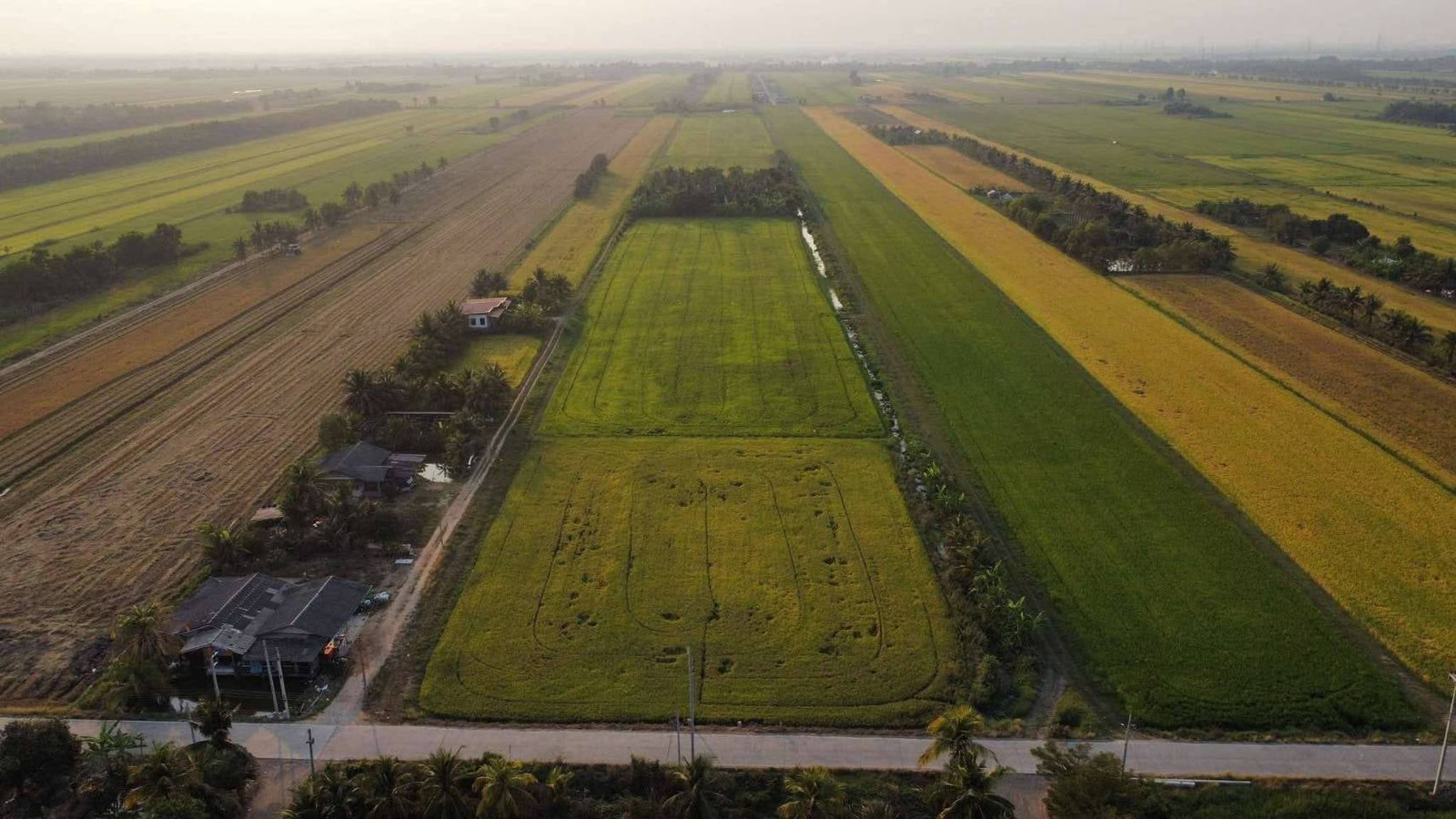 🏡 Land for sale in Bang Nam Priao, area 3 rai 3 ngan 44 sq m, near Mon Thong Witthaya School. – รูปที่ 4