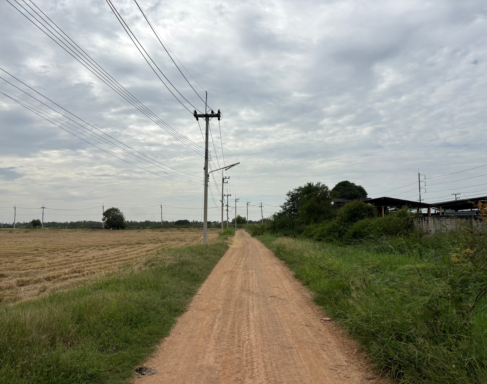 ขายที่ดิน 16-2-43.1 ไร่ บางไทร-อยุธยา ใกล้ถนน 3111 ทำเลรองรับ Warehouse/Logistics – รูปที่ 4