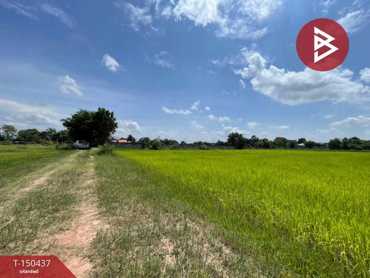 Land for sale, area 6 rai 3 ngan 18 square wah, near Ban Phai town, Khon Kaen province, good location, potential location. – รูปที่ 4