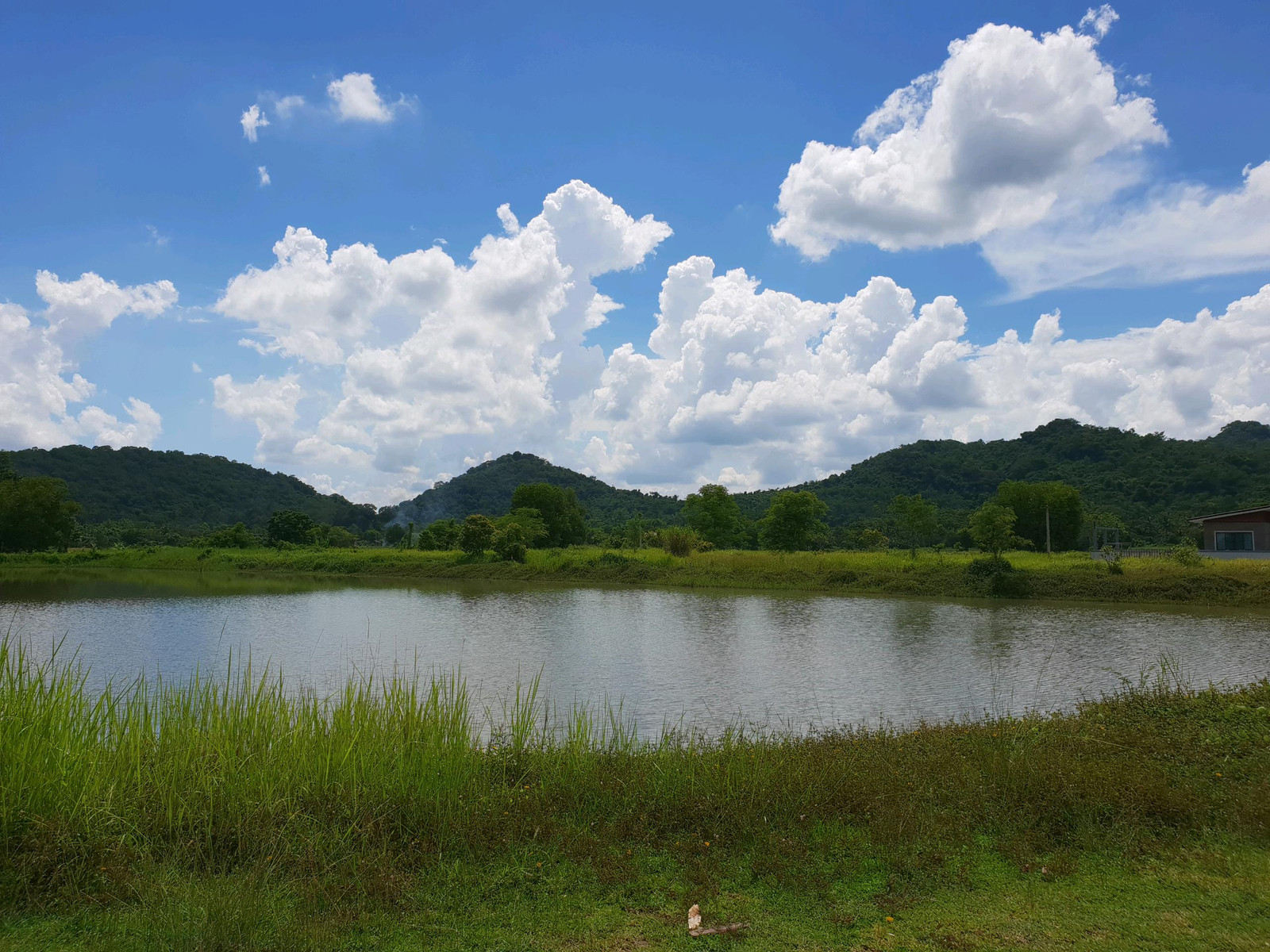 ขายที่ดินวิวสวยที่สุดนครนายก ขายยกแปลงแถมบ่อน้ำ4ไร่  – รูปที่ 4