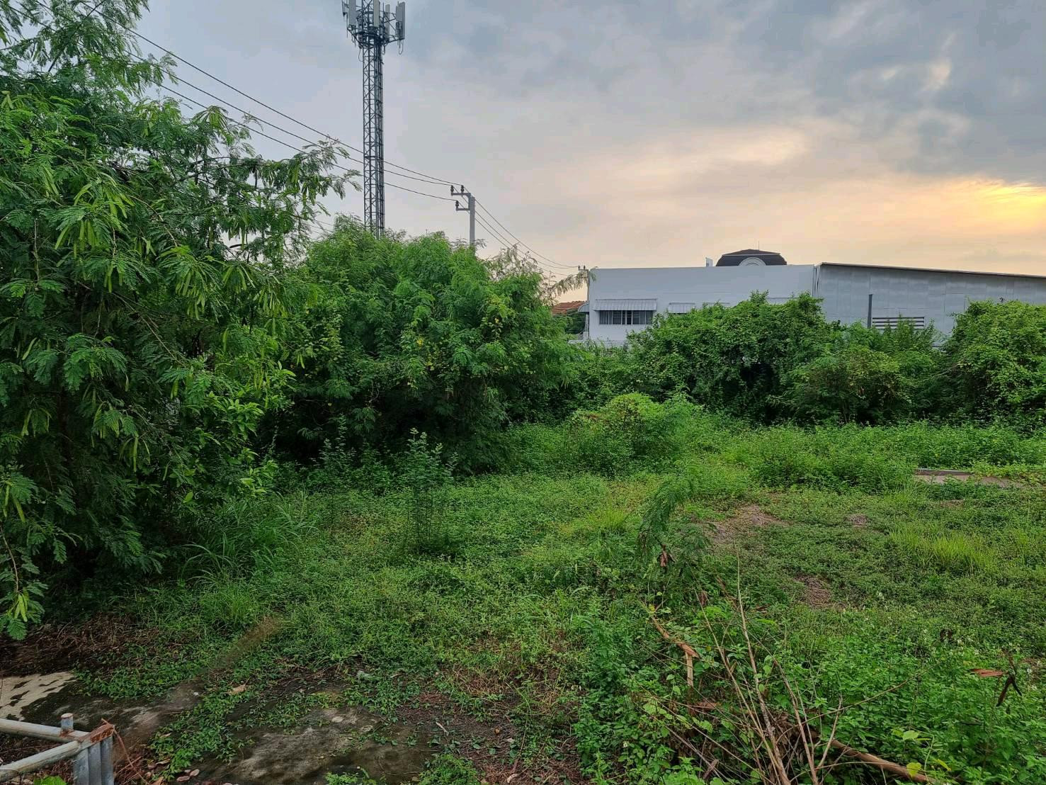 Land for sale, already filled, 200 sq m, along the expressway - Ekkamai Ramindra. Soi Pradit Manutham 23, only 100 meters from the road, suitable for building a house, office, warehouse. – รูปที่ 3