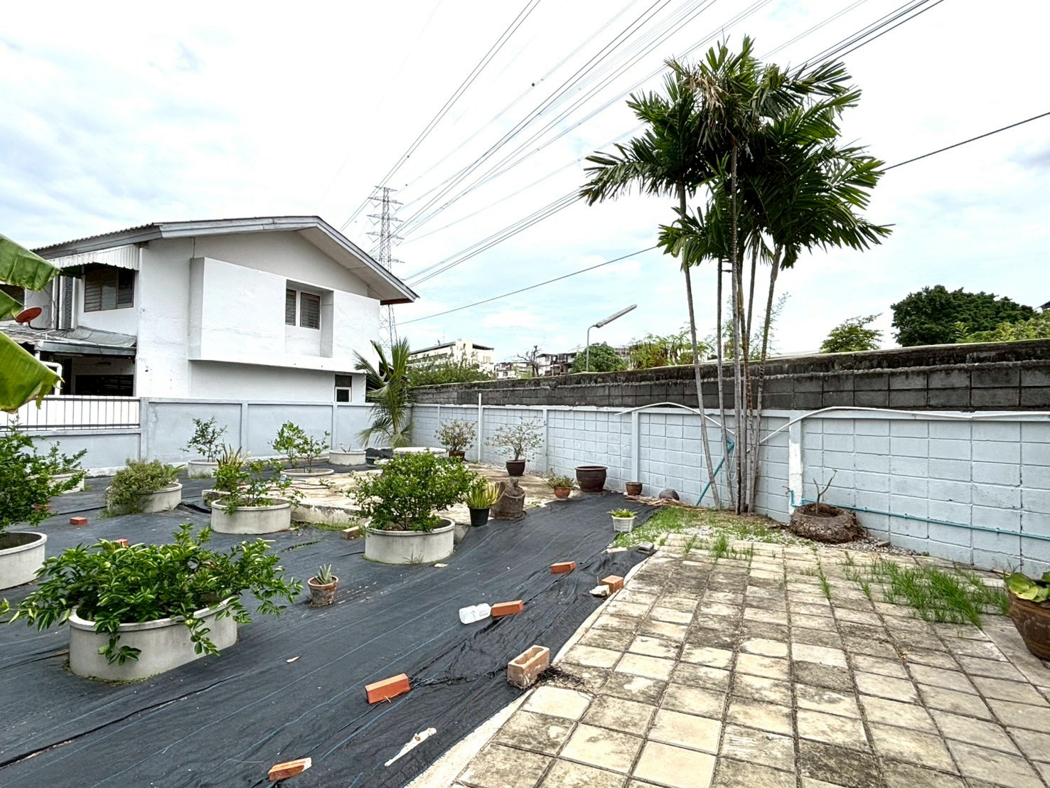ขายที่ดินถมแล้ว พัฒนาการ52 หมู่บ้านเคหะนคร พื้นที่ 53 ตรว. ขายถูกมากเพียง 5 ล้าน ห่างจากถนนพัฒนาการเพียง 150 เมตร ใกล้ BTS สถานีหัวหมาก และแอร์พอร์ตลิงค์ ทำเลดีมาก โครจะหาที่ปลูกบ้านต้องรีบเลย ทำเลดีๆ แบบนี้หายากค่ะ – รูปที่ 2