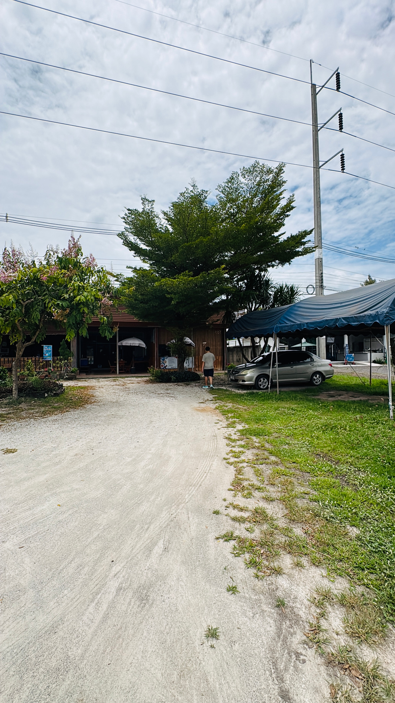 📣💢ขายร้านอาหาร ติดถนนสระบุรี–หล่มสัก (ทางหลวง 21)   ทำเลดีมากๆ ครับ   ที่ดิน 1 ไร่ (โฉนดครุฑแดง) – รูปที่ 3