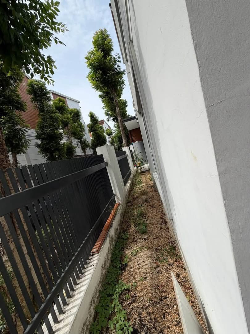 🏡✨ ให้เช่า ทาวน์โฮม 4 ชั้น The Sereno Townhome by Bonanza – แจ้งวัฒนะ 15 3 ห้องนอน 3 ห้องน้ำ หลังมุม ใจกลางแจ้งวัฒนะ ✔️ ไม่รับสัตว์เลี้ยง 💥 ลดพิเศษเหลือเพียง 25,000 บาท/เดือน | พร้อมเข้าอยู่ – รูปที่ 4