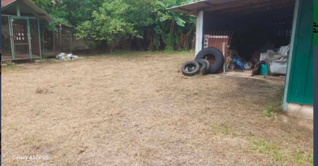 ขายถูกมาก!! ที่ดิน 477 ตร.ว. ติดถนน 2 ด้าน อ.เมือง จ.ตรัง ซอยตรงข้ามศาลากลางจังหวัดตรัง ใกล้โรบินสันฯ – รูปที่ 2