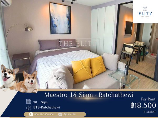 ✨  Pet-friendly sanctuary near BTS | Modern classic lifestyle in Siam-Ratchathewi | Perfect home for you and your beloved pets ✨
