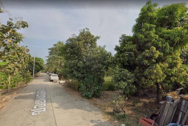 ขายขายที่ดิน สามโคก ปทุมธานี ซ.หนองจอก 3 บ้านปทุม สามโคก ปทุมธานี CX-173957