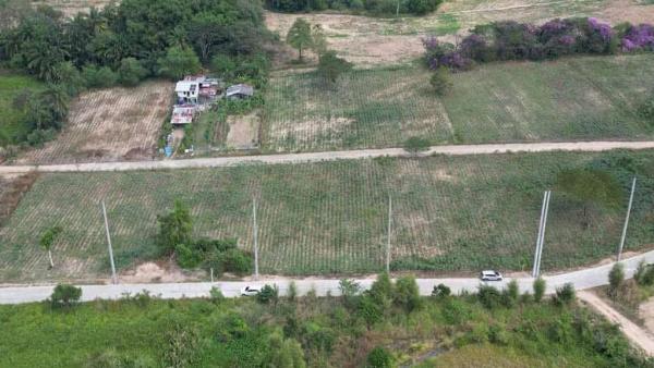 Land in Bo Win Subdistrict, Si Racha District, Chonburi Province. / 99 Square Wa (FOR SALE) NANN010