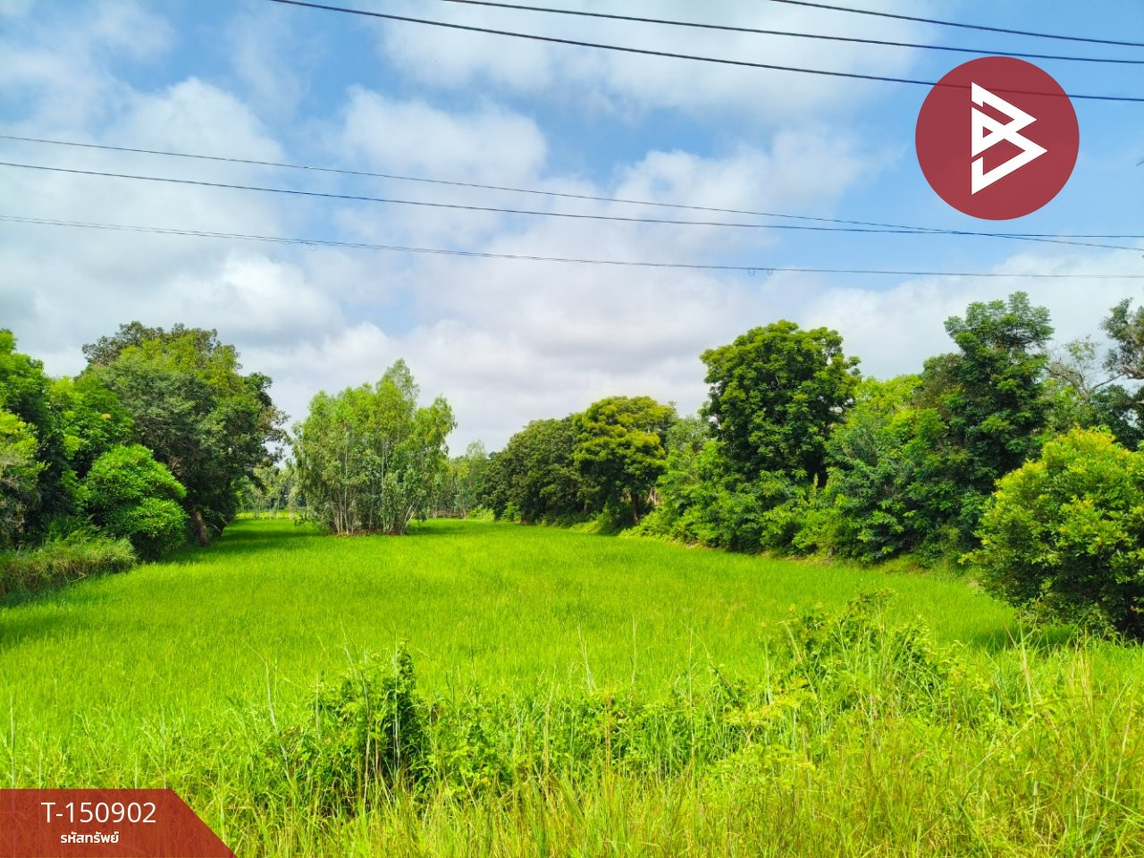 ขายที่ดิน เนื้อที่ 3 ไร่ 2 งาน 80 ตร.วา ธวัชบุรี ร้อยเอ็ด – รูปที่ 3