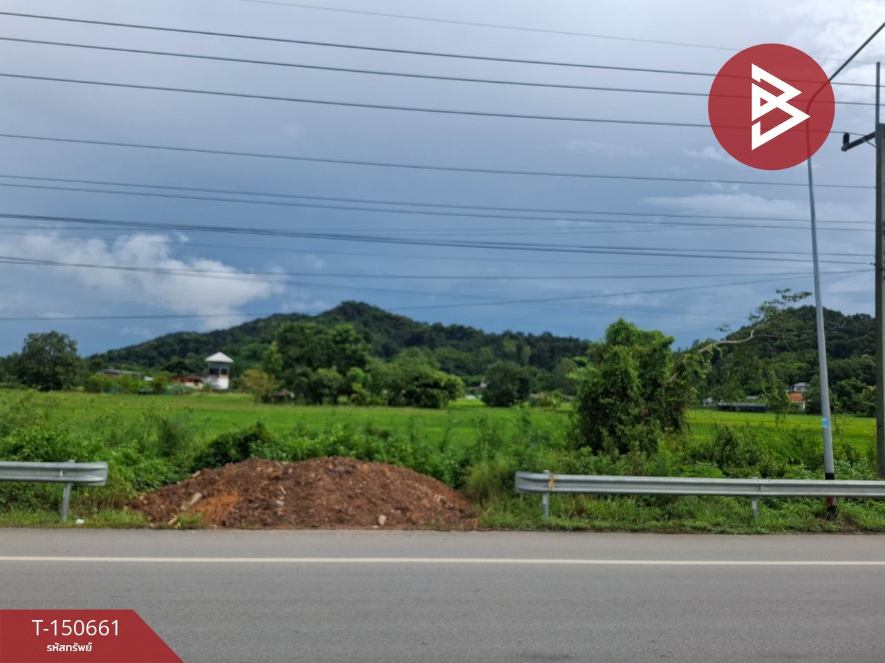 ขายที่ดิน เนื้อที่ 5 ไร่ 3 งาน เทิง เชียงราย – รูปที่ 3