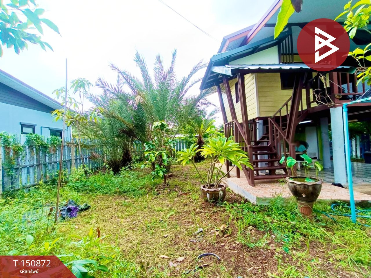 ขายบ้านเดี่ยว เนื้อที่ 60 ตารางวา บรรยากาศในสวน นางตะเคียนซอย 1 สมุทรสงคราม – รูปที่ 4