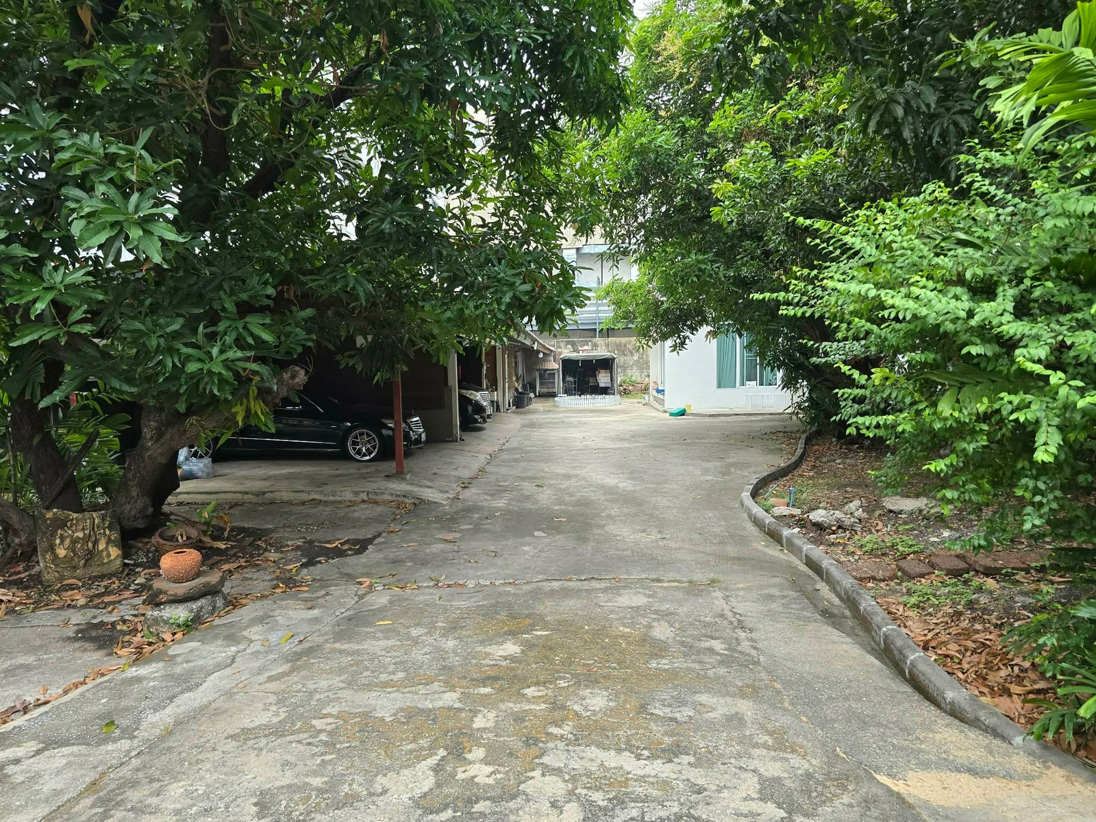 บ้านพร้อมที่ดิน 350 ตร.ว. สุขุมวิท 42 เชื่อมพระราม 4–สุขุมวิท – รูปที่ 2