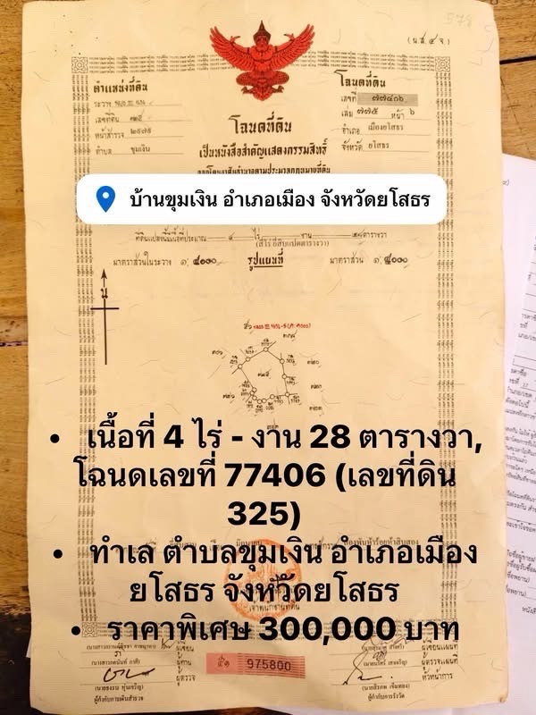ขายที่ดินราคาพิเศษ ขายที่ดินราคาพิเศษ