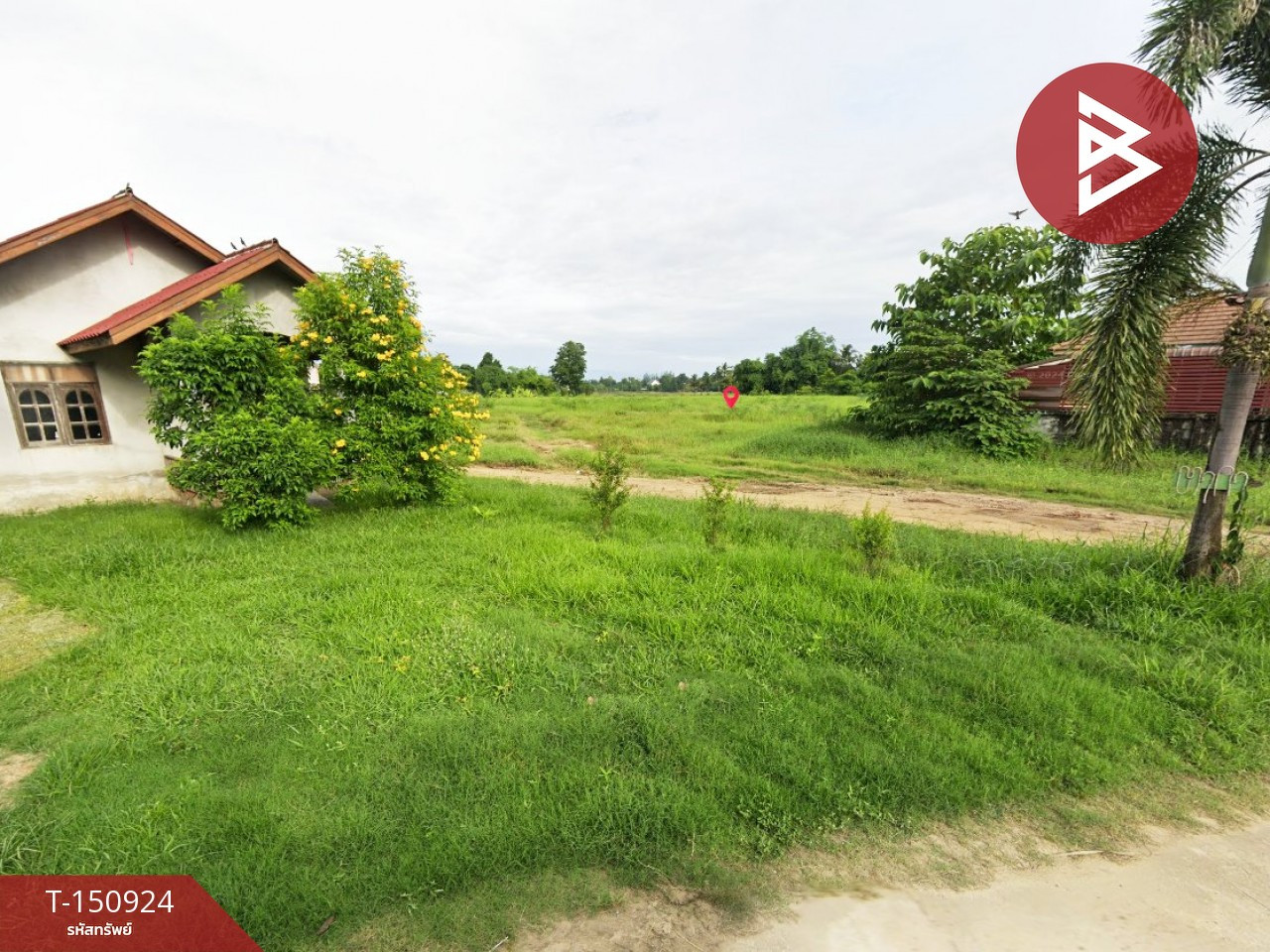 Land for sale, area 9 rai 1 ngan 67.2 square wah, Wang Chao, Tak Province. Land for sale, area 9 rai 1 ngan 67.2 square wah, Wang Chao, Tak Province.
