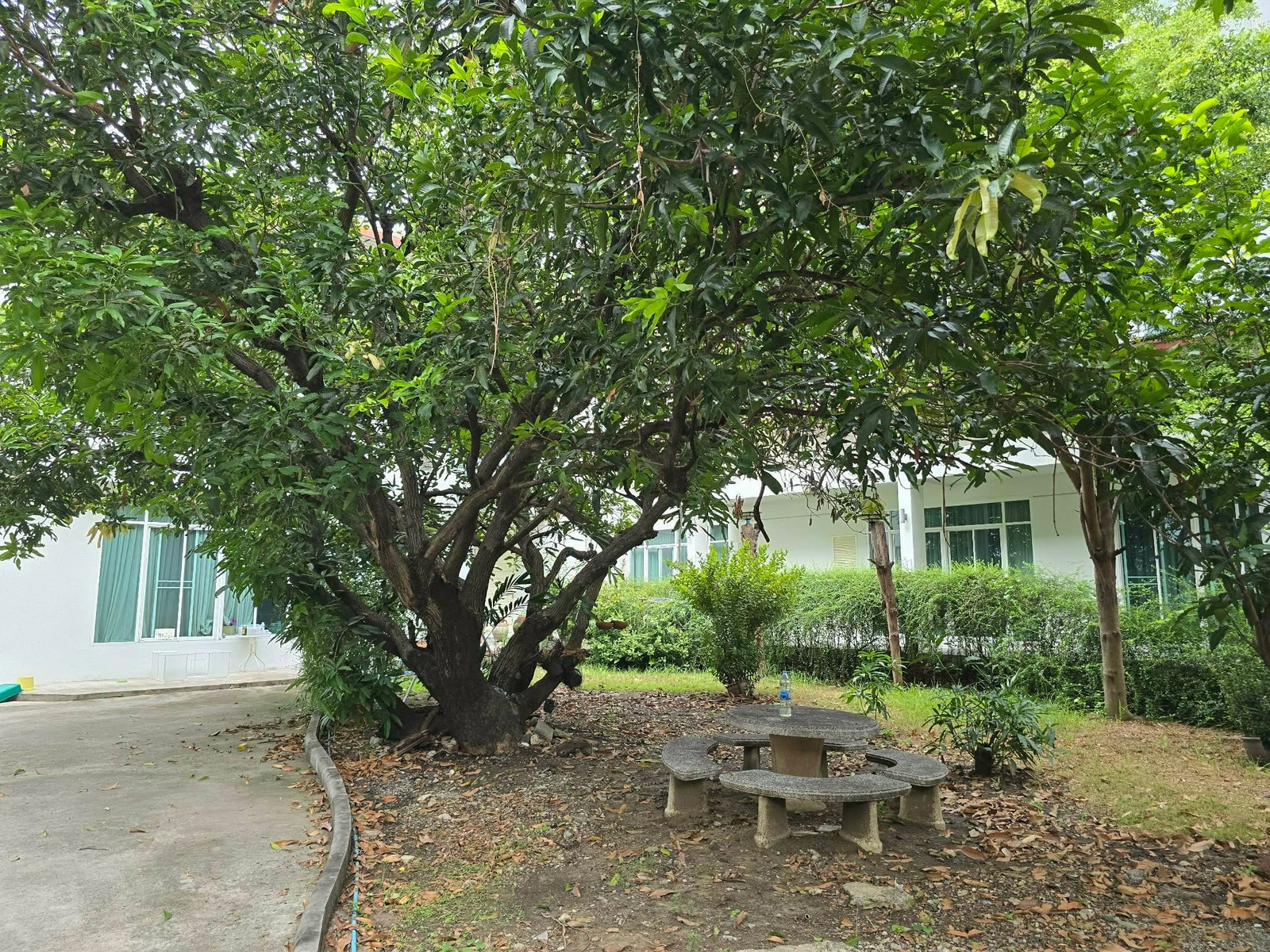 บ้านพร้อมที่ดิน 350 ตร.ว. สุขุมวิท 42 เชื่อมพระราม 4–สุขุมวิท – รูปที่ 4