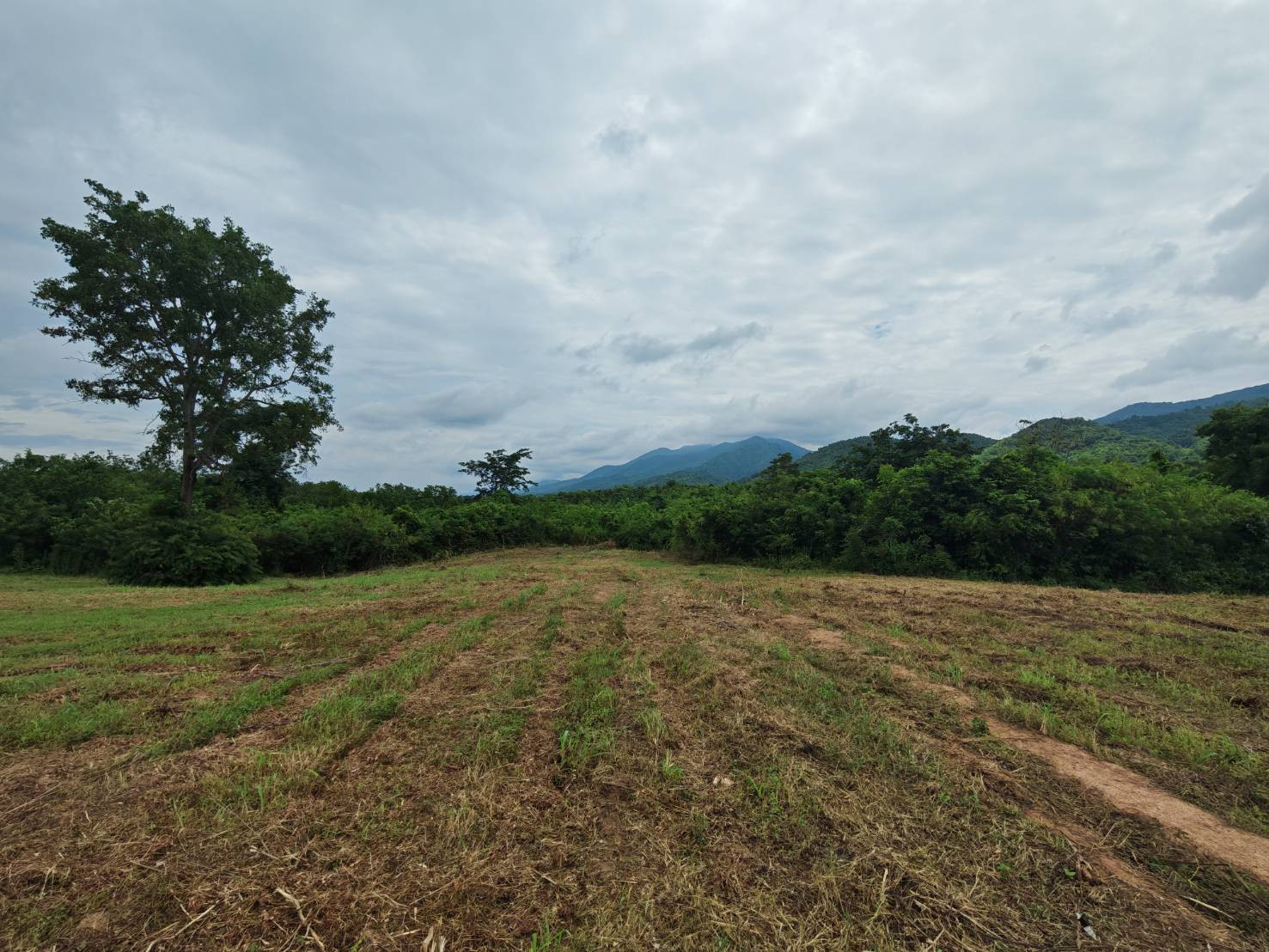 Land for sale with mountain view, good weather, beautiful view. – รูปที่ 3