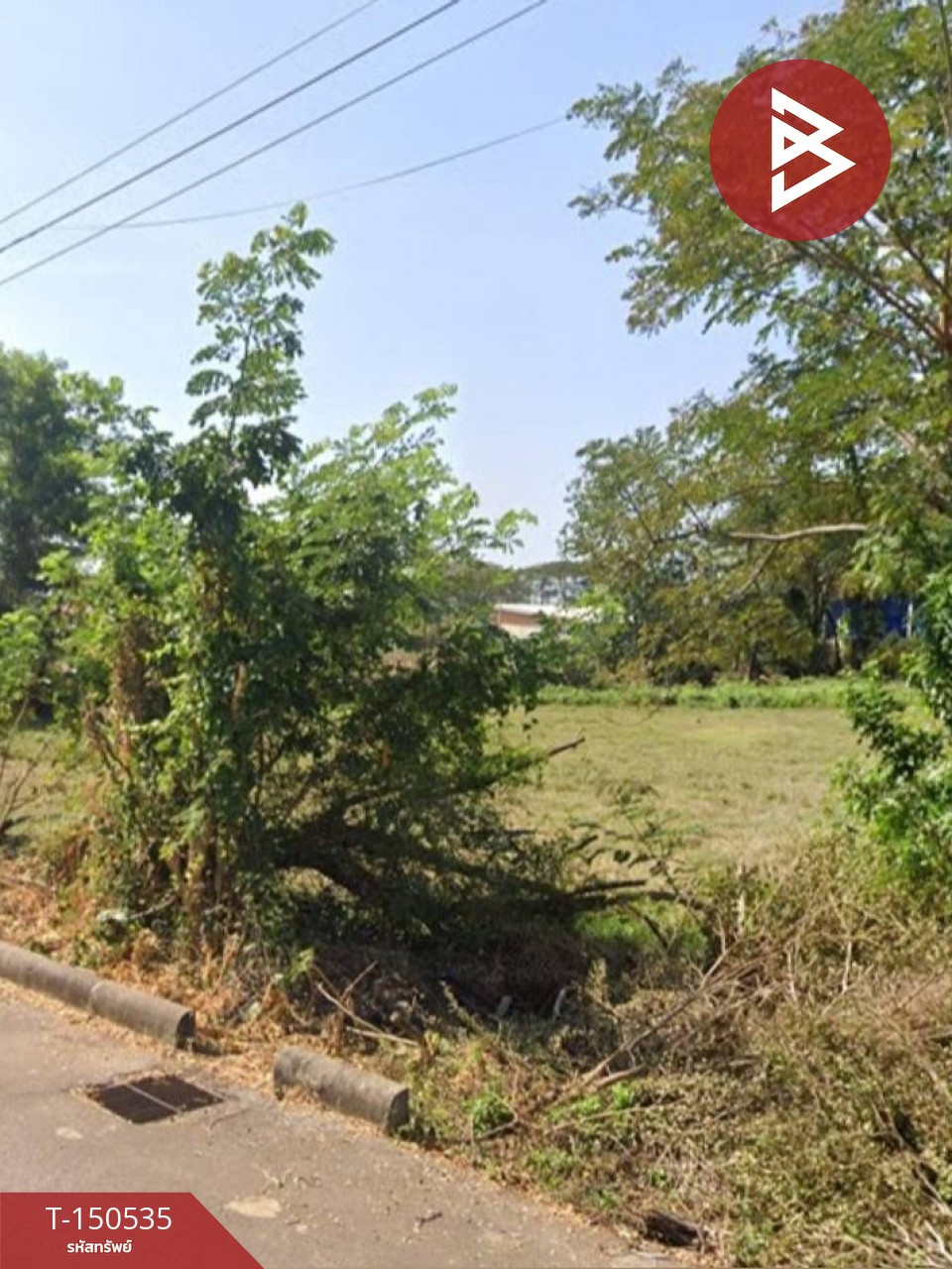 Land for sale, area 4 rai 1 ngan 50 sq m, Phang Khon, Sakon Nakhon Land for sale, area 4 rai 1 ngan 50 sq m, Phang Khon, Sakon Nakhon
