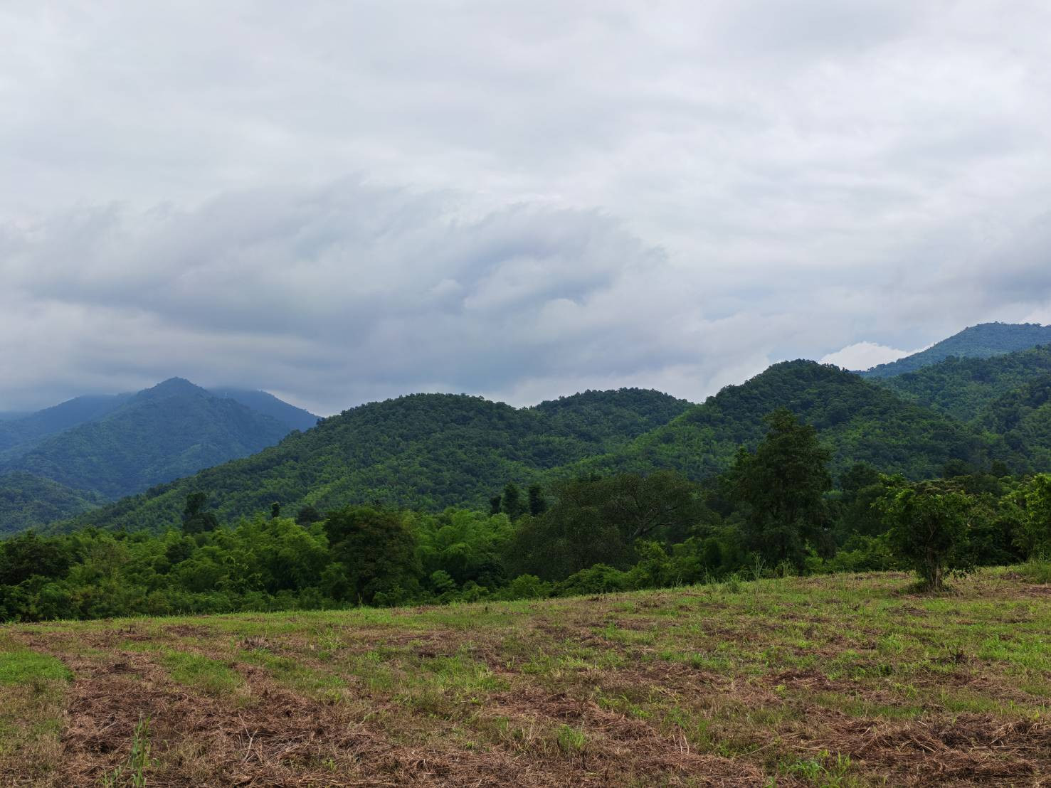 Land for sale with mountain view, good weather, beautiful view. – รูปที่ 2