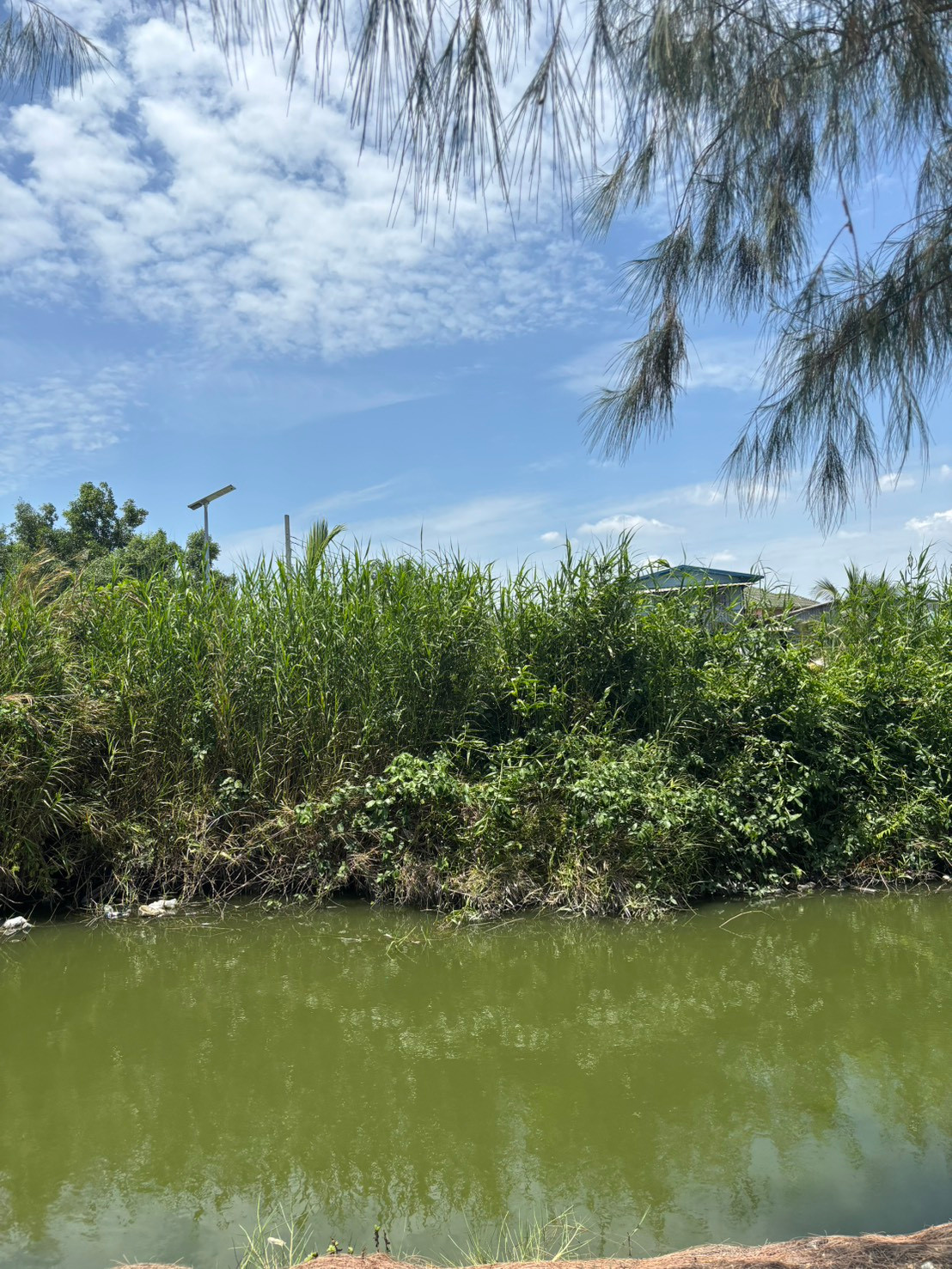 Empty land for sale, 116 sq m, located in the entrance to the City Industrial Park (Pracha Uthit - Soi Khu Sang) or can enter the police land allocation alley. Empty land for sale, 116 sq m, located in the entrance to the City Industrial Park (Pracha Uthit - Soi Khu Sang) or can enter the police land allocation alley.