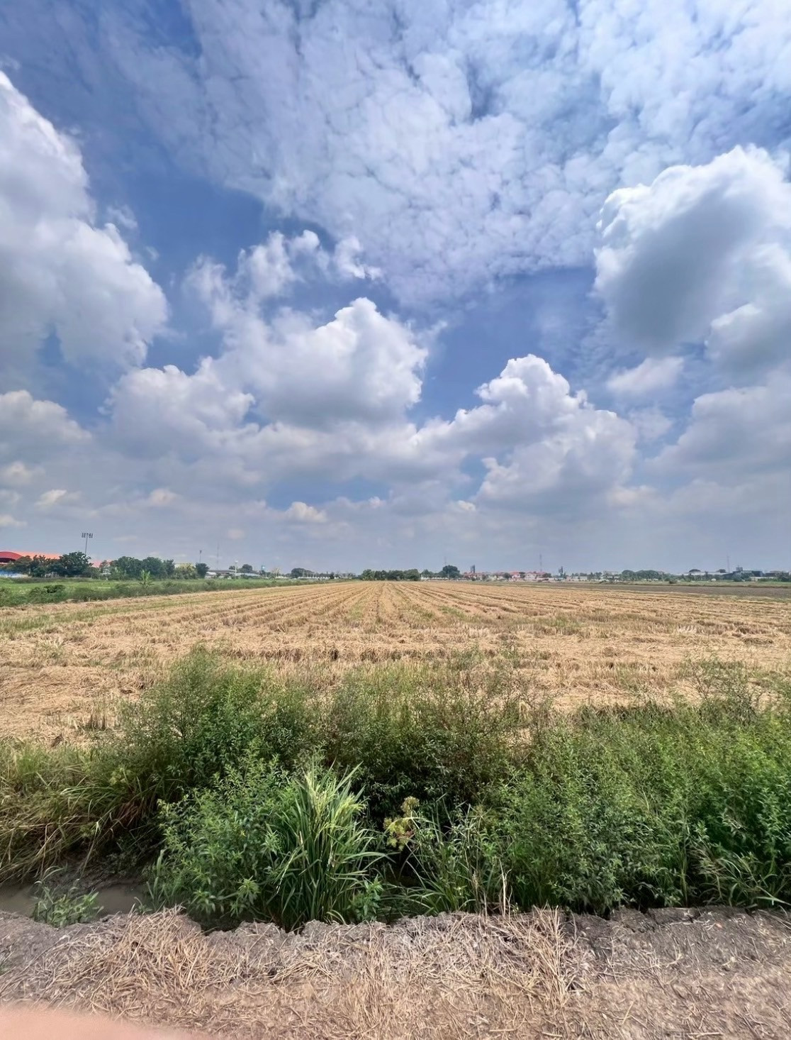 🔥 Large plot of land for sale, 16 rai, 1 ngan, 91 sq m, next to a 4-lane road, potential location in Lam Luk Ka. – รูปที่ 4