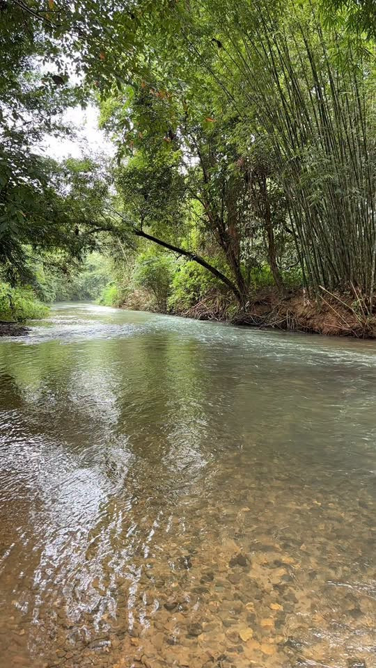 Beautiful plot of land, Thung Kha Ngok Subdistrict, Mueang District, Phang Nga Province.