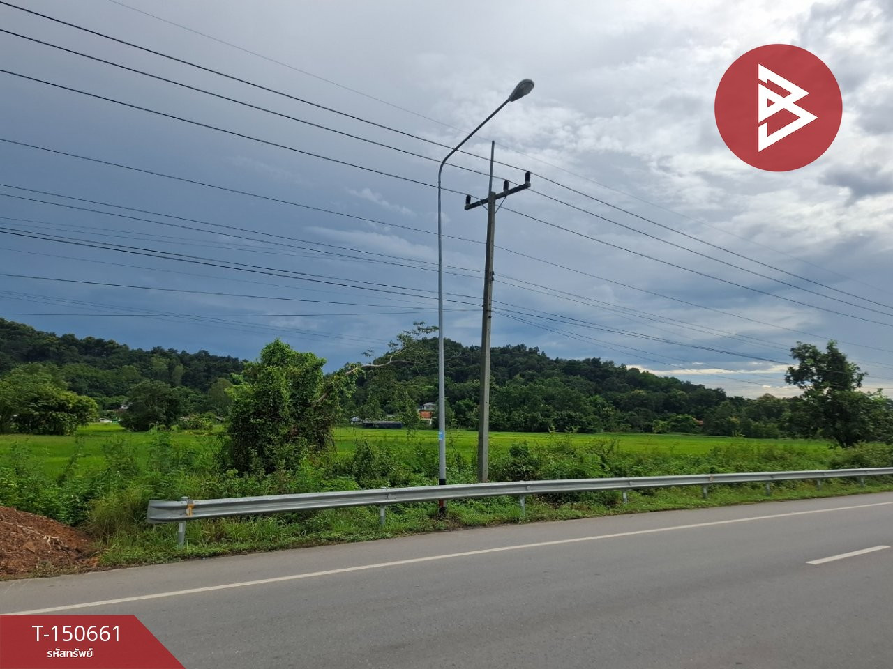 ขายที่ดิน เนื้อที่ 5 ไร่ 3 งาน เทิง เชียงราย – รูปที่ 4