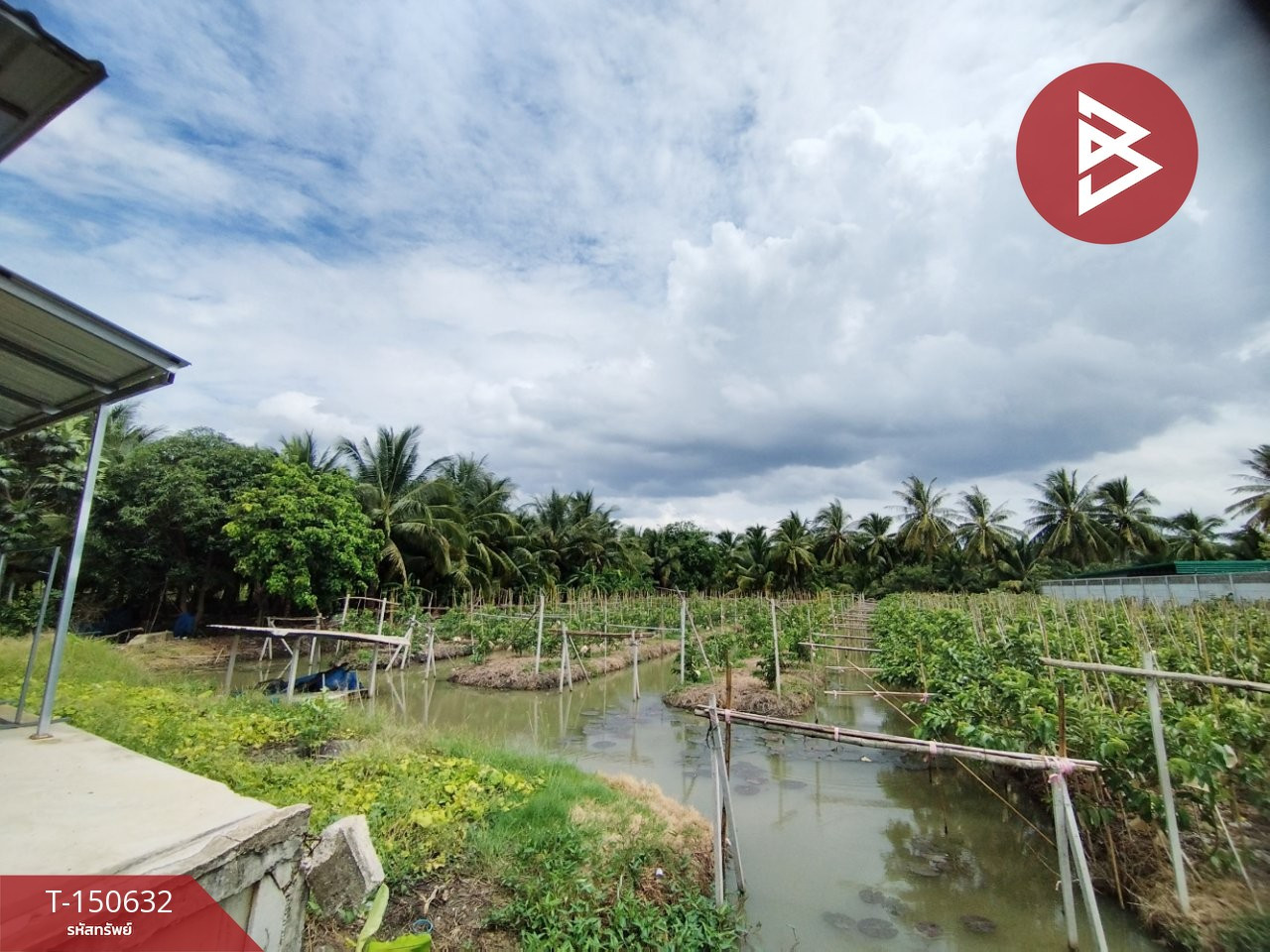 ขายที่ดิน เนื้อที่ 1 ไร่ 55 ตร.วา บ้านแพ้ว สมุทรสาคร – รูปที่ 4