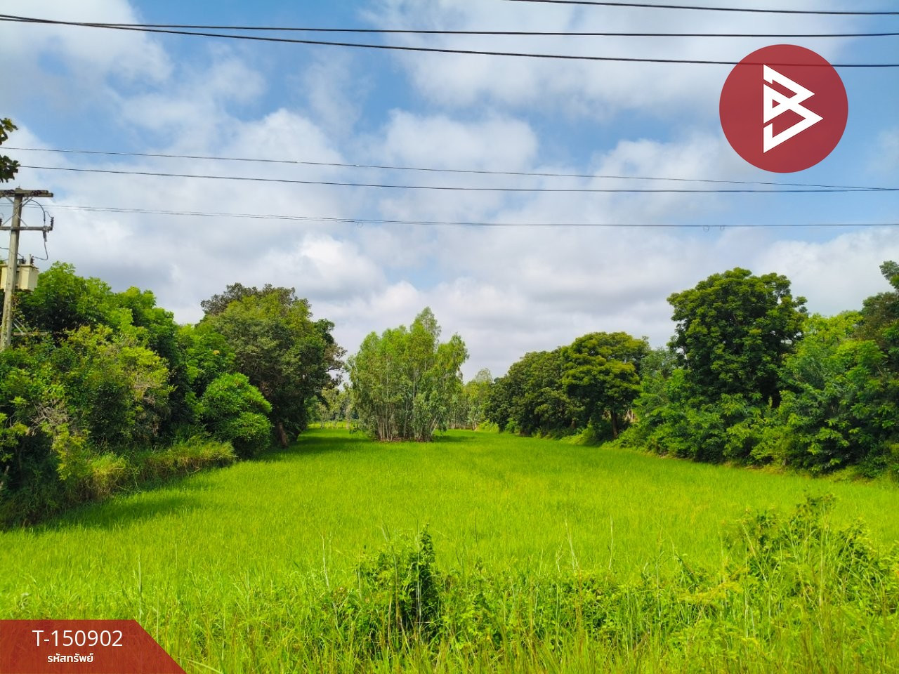 ขายที่ดิน เนื้อที่ 3 ไร่ 2 งาน 80 ตร.วา ธวัชบุรี ร้อยเอ็ด – รูปที่ 4