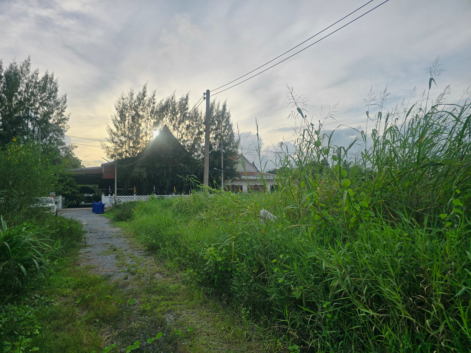 Empty land for sale, already filled, 102 sq m, Soi Sahaporn (Salaya), near Mahidol University. Opposite Wat Hathai Naresuan, easy to enter and exit. – รูปที่ 4