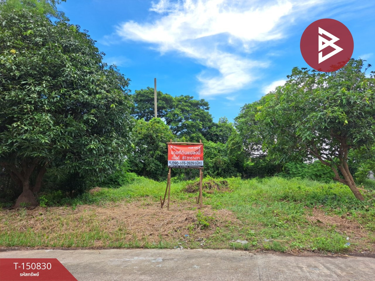 Land for sale, area 81 sq m, Phutthamonthon, Nakhon Pathom, good location, near Central Salaya. Land for sale, area 81 sq m, Phutthamonthon, Nakhon Pathom, good location, near Central Salaya.