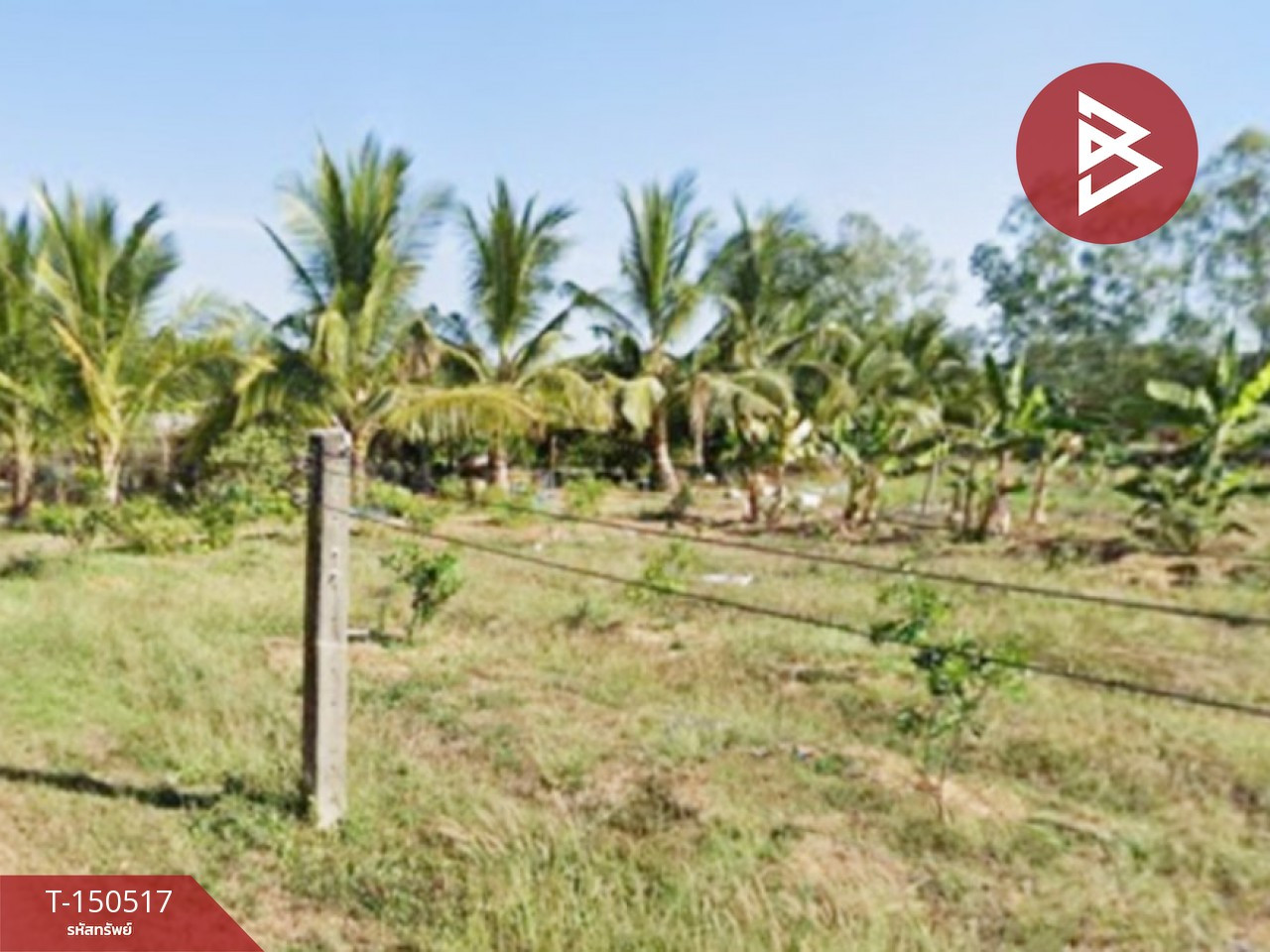 Land for sale, area 17 rai 1 ngan 29.9 sq m, Phang Khon, Sakon Nakhon Land for sale, area 17 rai 1 ngan 29.9 sq m, Phang Khon, Sakon Nakhon