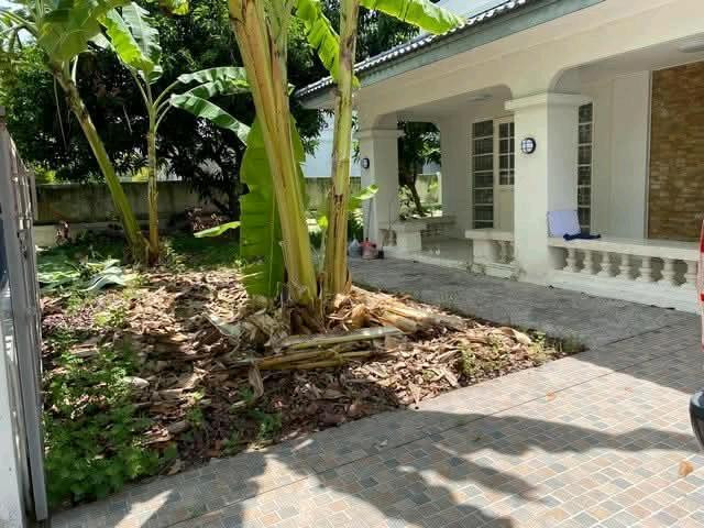 🏡 ให้เช่าบ้านเดี่ยว หมู่บ้านชลดา บางบัวทอง ✨ พร้อมอยู่ทันที สภาพดีเยี่ยม 📐 ขนาดที่ดิน 100 ตร.ว. 🛏️ 5 ห้องนอน • 4 ห้องน้ำ ❄️ มีเครื่องปรับอากาศ ทุกห้อง เย็นสบายตลอดปี 💰 ราคาเช่า 30,000.- บาท/เดือน   📞 ติดต่อสอบถาม / นัดชมสถานที่จริง 📱 โทร: 099-265-85 – รูปที่ 2