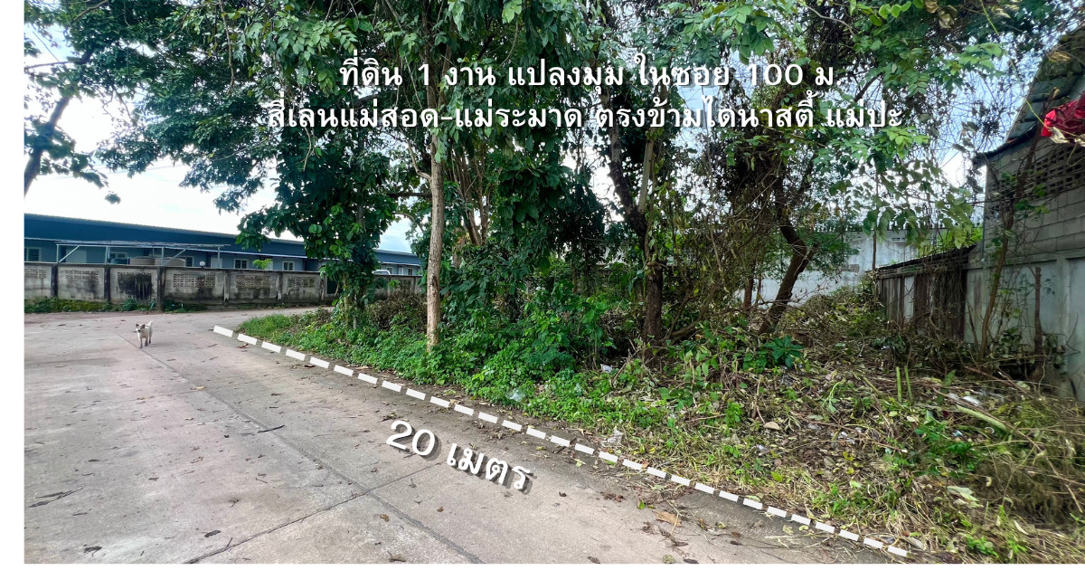 Urgent!🚩 Vacant land, 1 ngan, corner plot, entering the alley 100 meters from four lanes Mae Sot - Mae Ramat. Opposite Dynasty Mae Pa Urgent!🚩 Vacant land, 1 ngan, corner plot, entering the alley 100 meters from four lanes Mae Sot - Mae Ramat. Opposite Dynasty Mae Pa