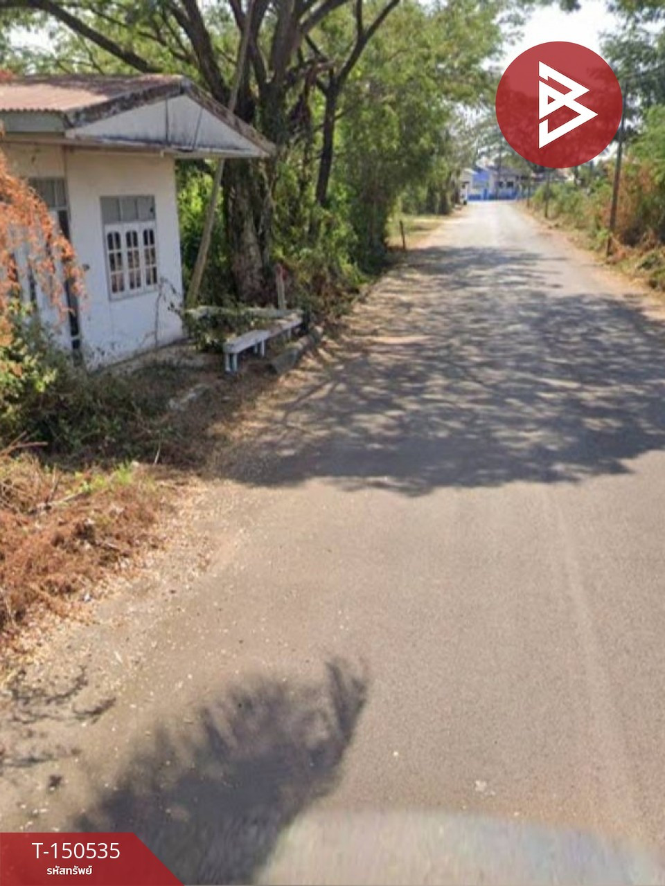 ขายที่ดิน เนื้อที่ 4 ไร่ 1 งาน 50 ตร.วา พังโคน สกลนคร – รูปที่ 4