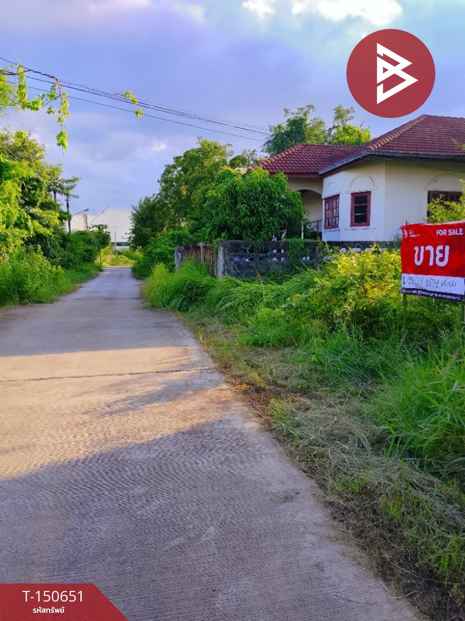 Land for sale outside the city, area 60 square meters, outside the city, Surin. – รูปที่ 4