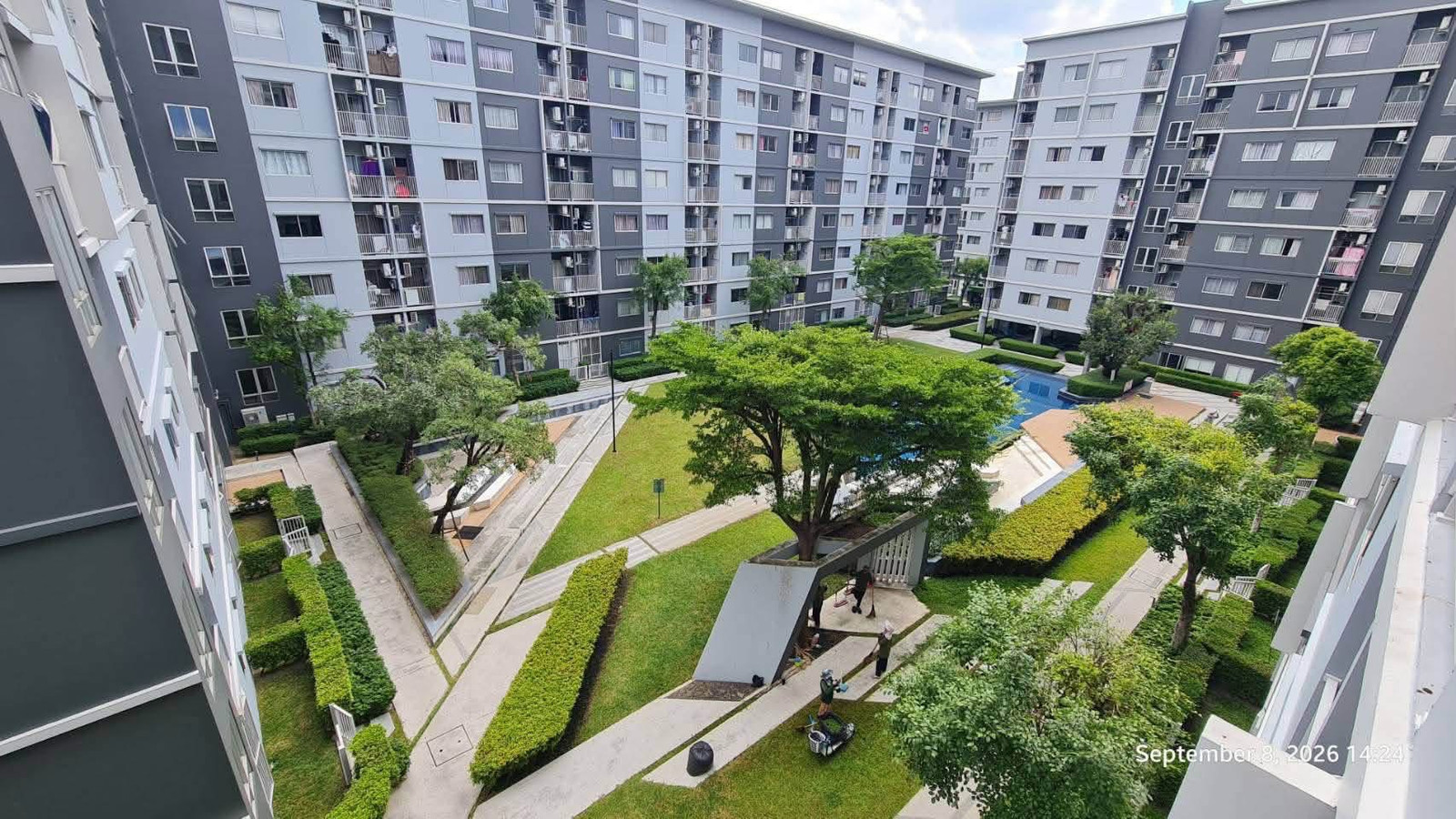 Urgent for sale Plum Phase 2 |1.15 million baht, pool view room, near Bangkok University Rangsit ✨🏡 – รูปที่ 2