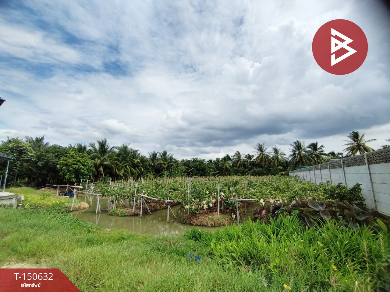ขายที่ดิน เนื้อที่ 1 ไร่ 55 ตร.วา บ้านแพ้ว สมุทรสาคร – รูปที่ 2