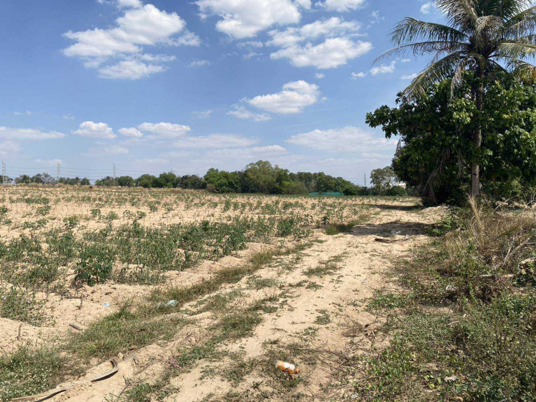 Land for sale, Phang Muang Lai, in Amata City Industrial Estate, Rayong, suitable for building a factory, warehouse, 21 rai 85 sq m. – รูปที่ 4