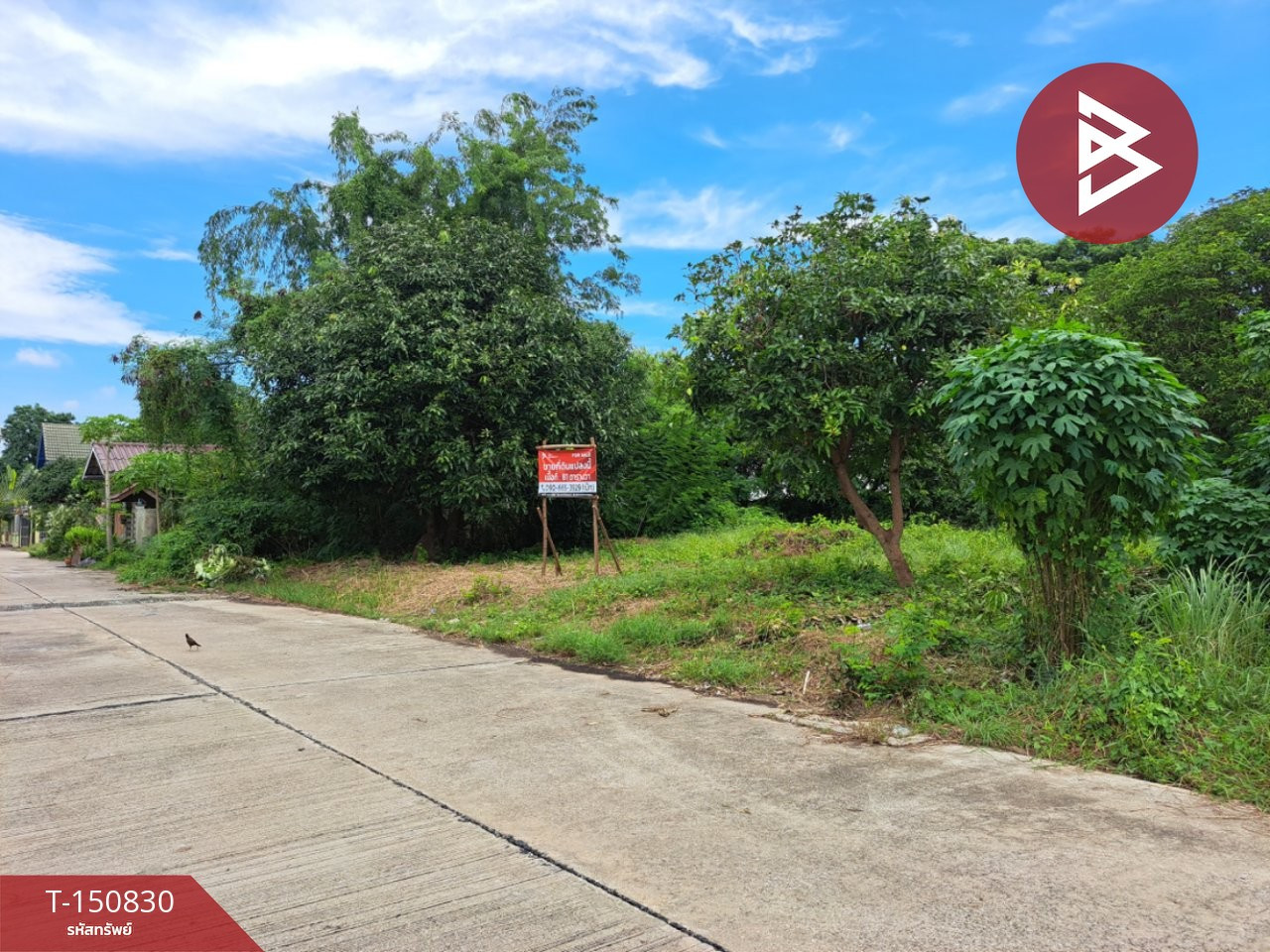 ขายที่ดิน เนื้อที่ 81 ตร.วา พุทธมณฑล นครปฐม ทำเลดี ใกล้เซ็นทรัลศาลายา – รูปที่ 4