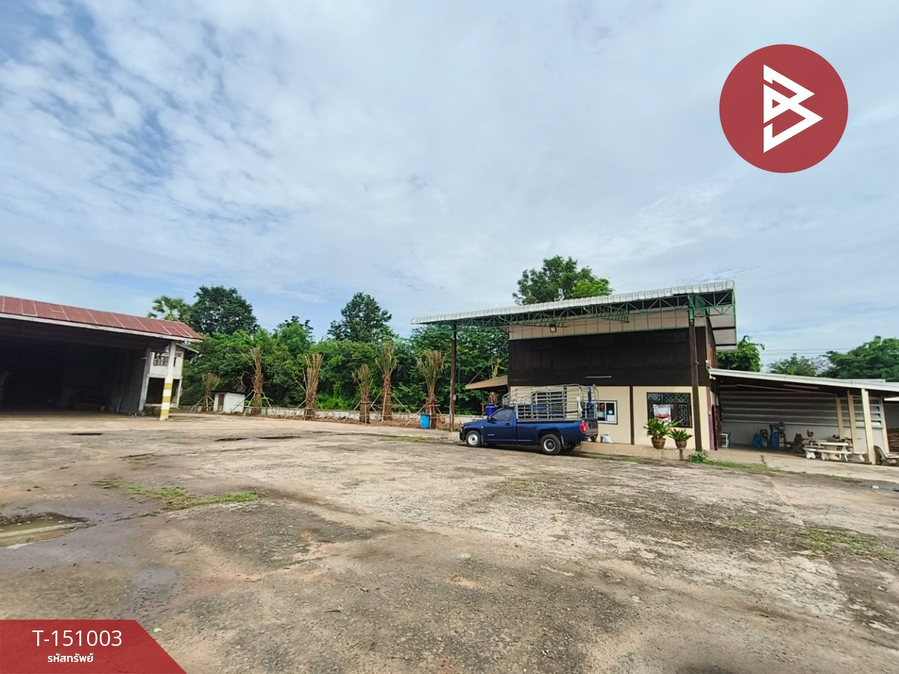  ขายที่ดิน พร้อมลานรับซื้อผลผลิตเกษตร เนื้อที่ 7 ไร่ 2 งาน 45.5 ตร.วา ประโคนชัย บุรีรัมย์ – รูปที่ 3
