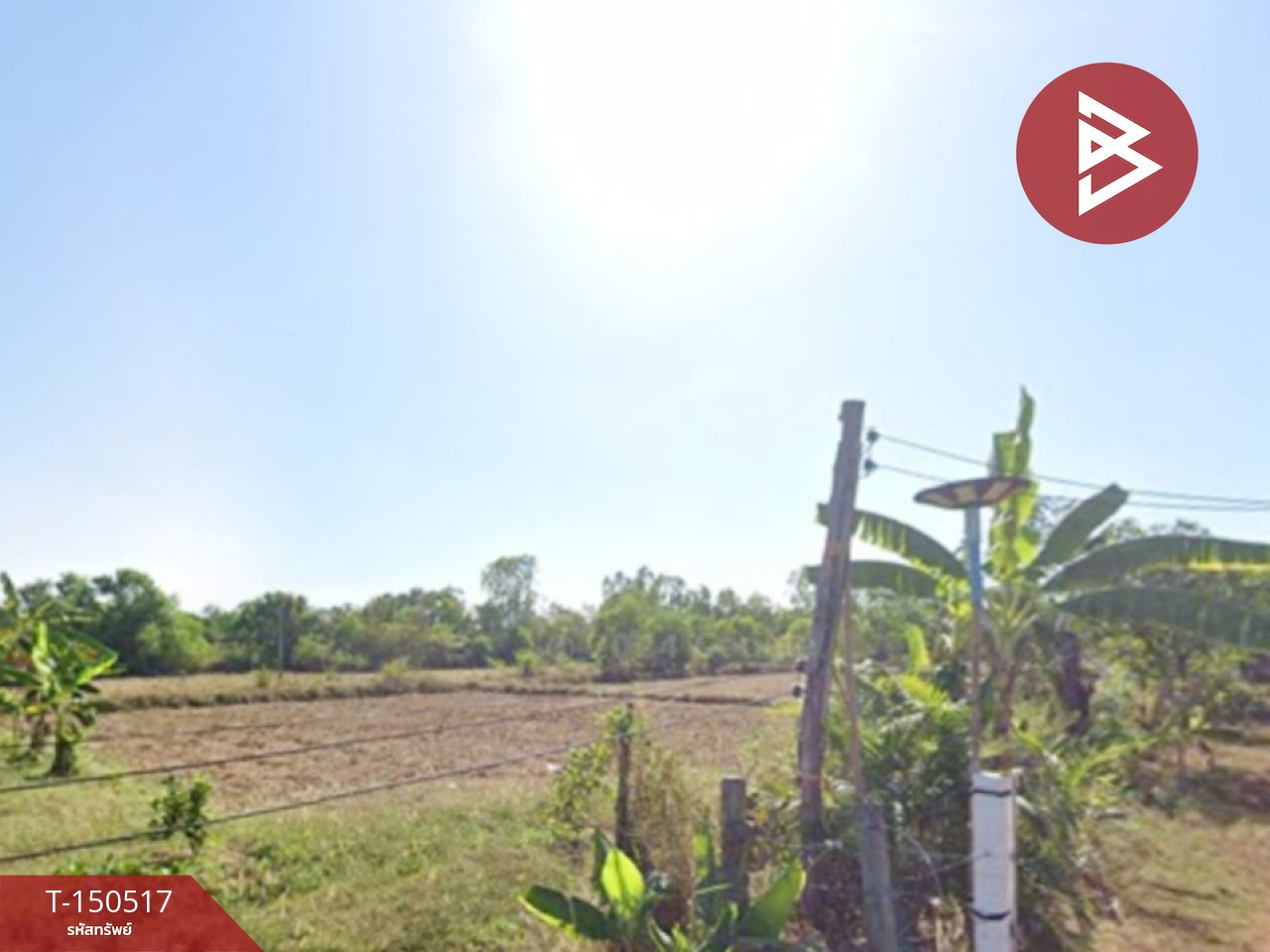ขายที่ดิน เนื้อที่ 17 ไร่ 1 งาน 29.9 ตร.วา พังโคน สกลนคร – รูปที่ 2