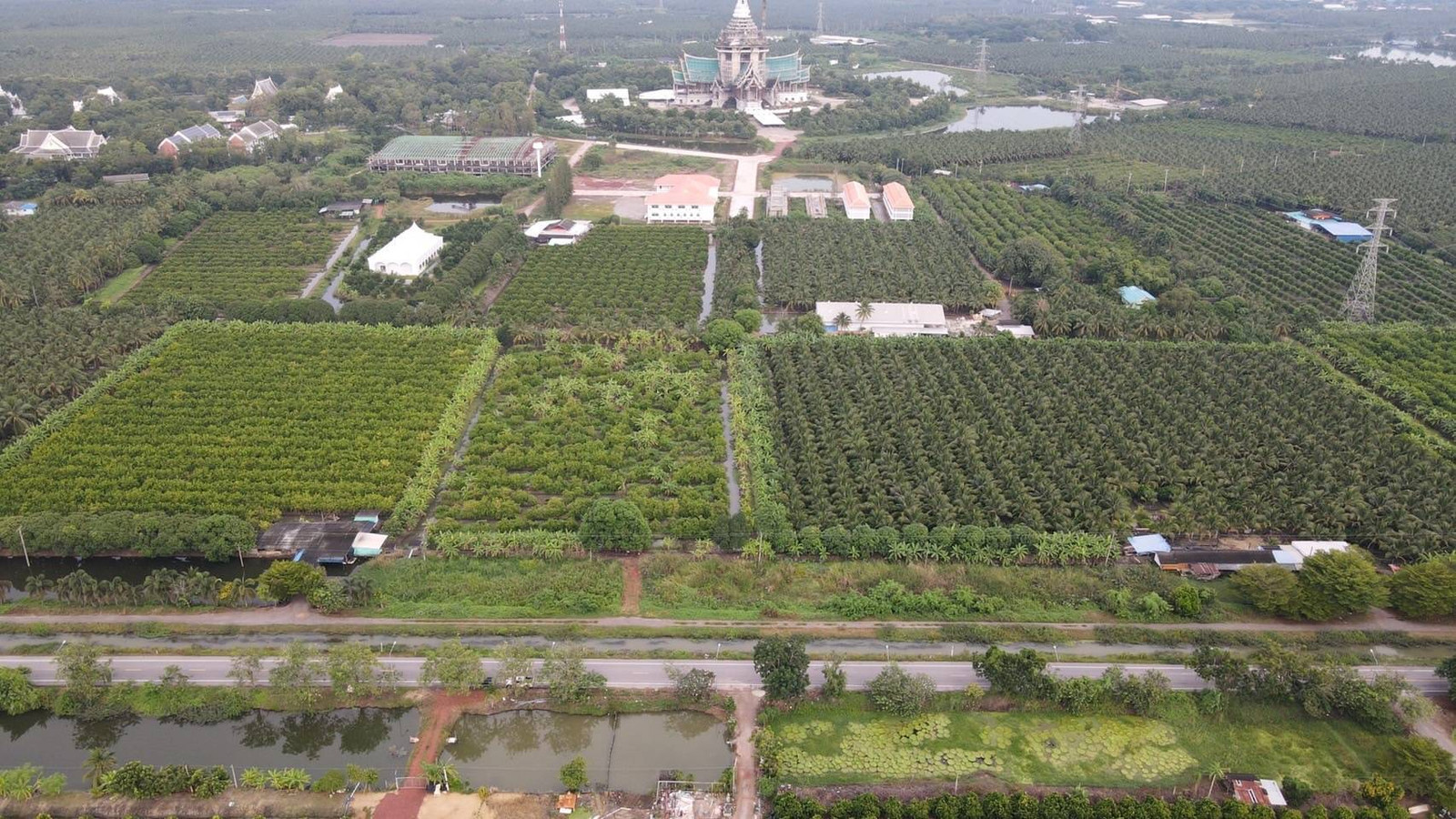 ขายที่ดินสวน  ติดหลังวัดหลวงพ่อสด ด้านหน้าติดถนนคลองชลประทาน อำเภอดำเนินสะดวก จังหวัดราชบุรี – รูปที่ 4